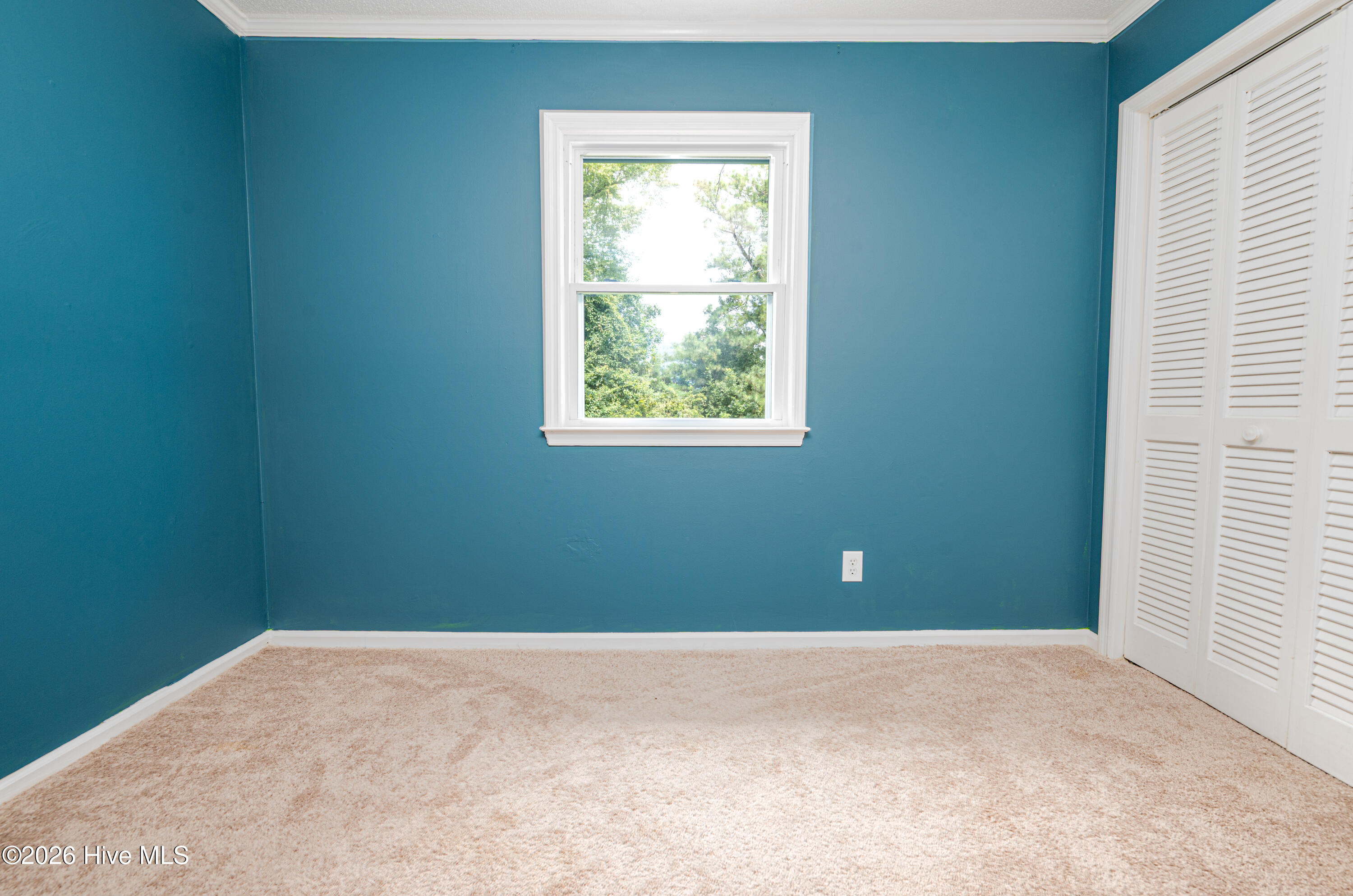 419 Boros Road Property Photo 20