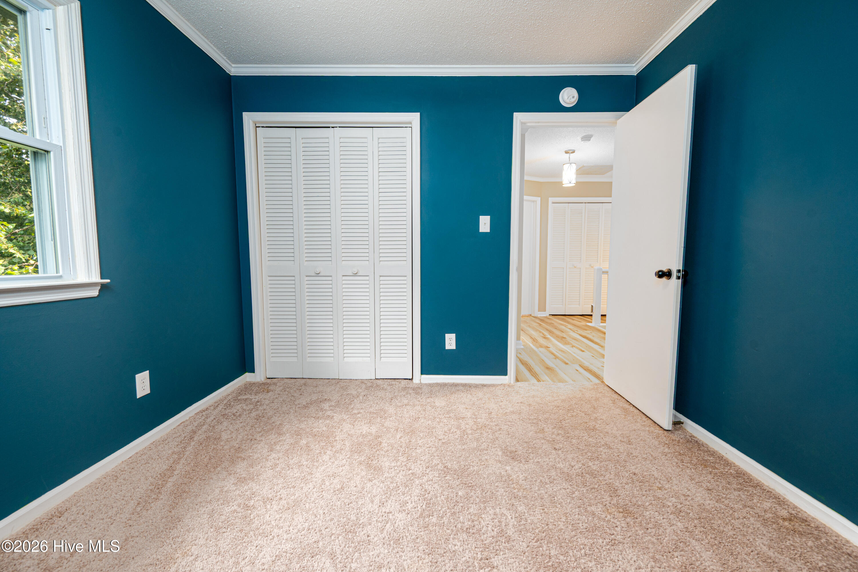 419 Boros Road Property Photo 21