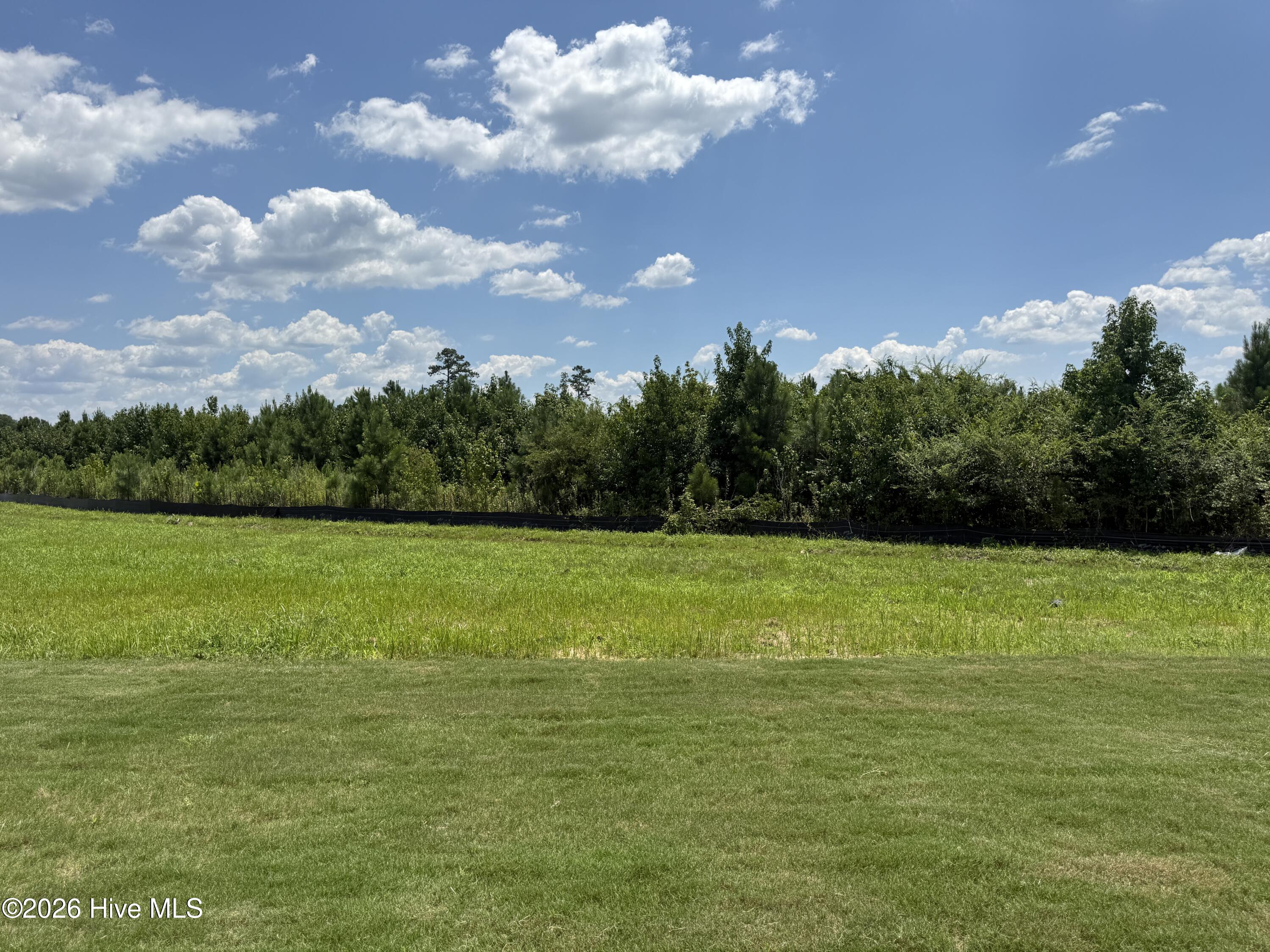 2013 Tharrington Way Property Photo 28