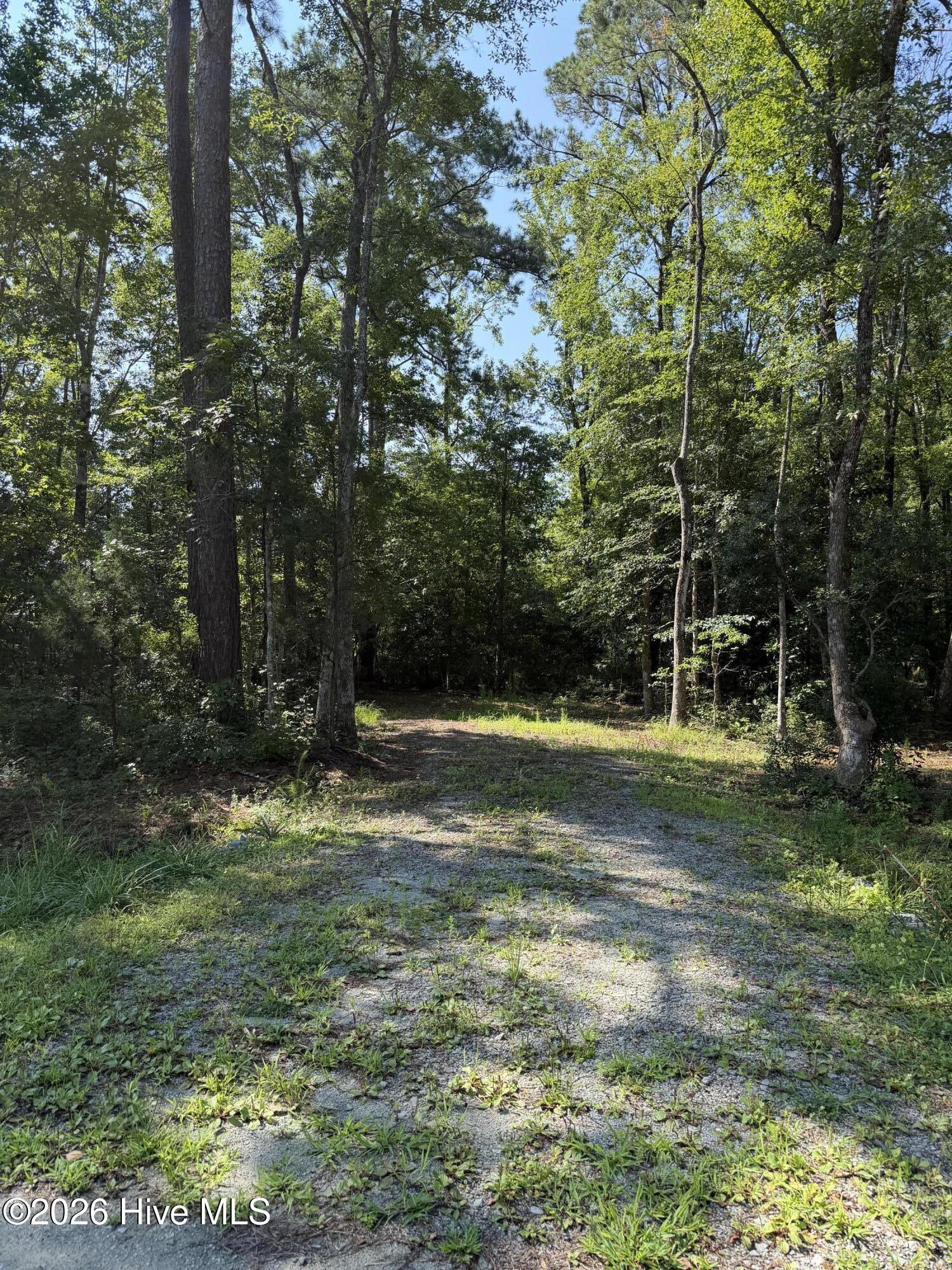 1421 Seafarer Drive Property Photo 1
