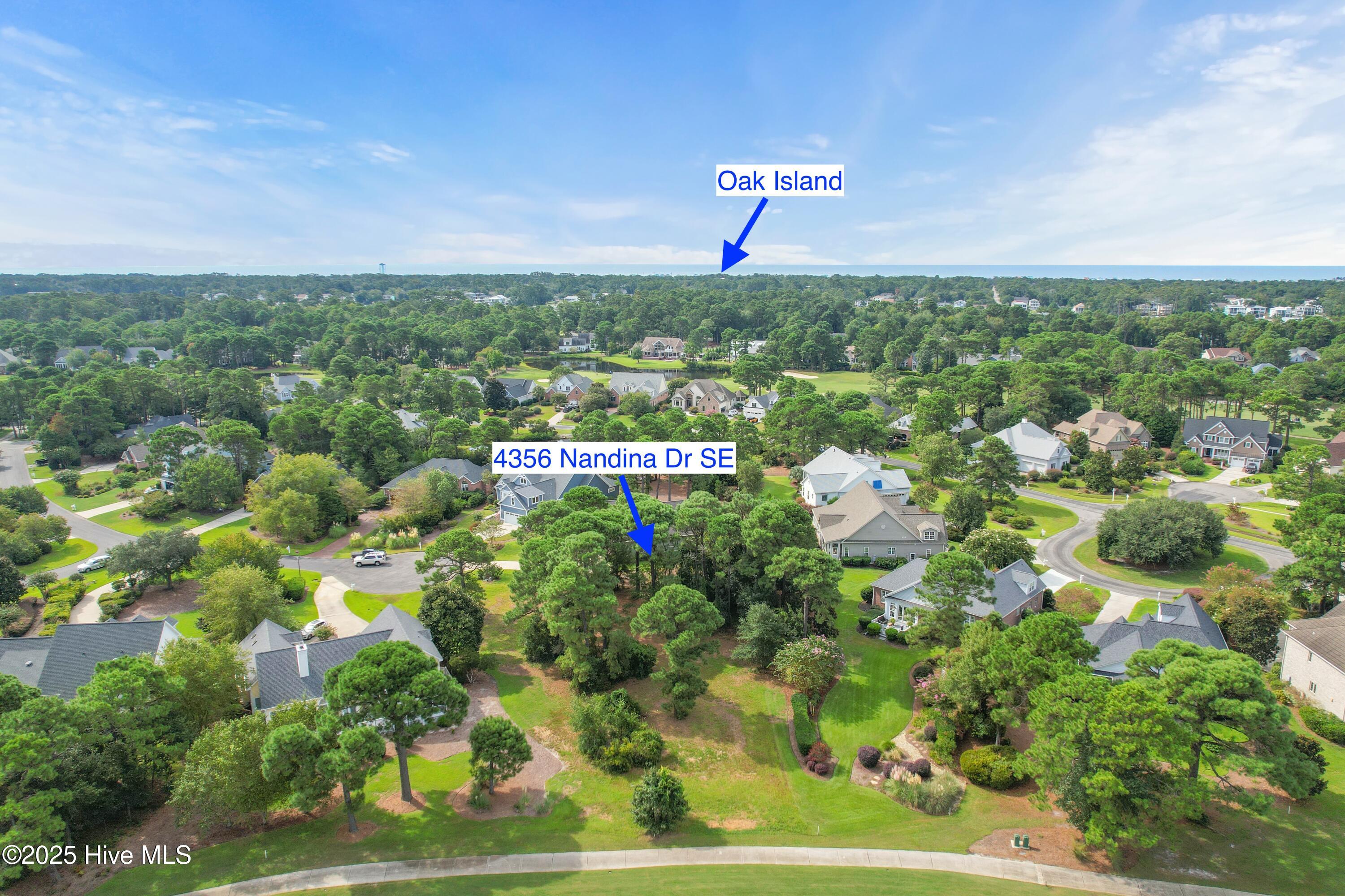 4356 12 Nandina Drive Se Property Photo 5