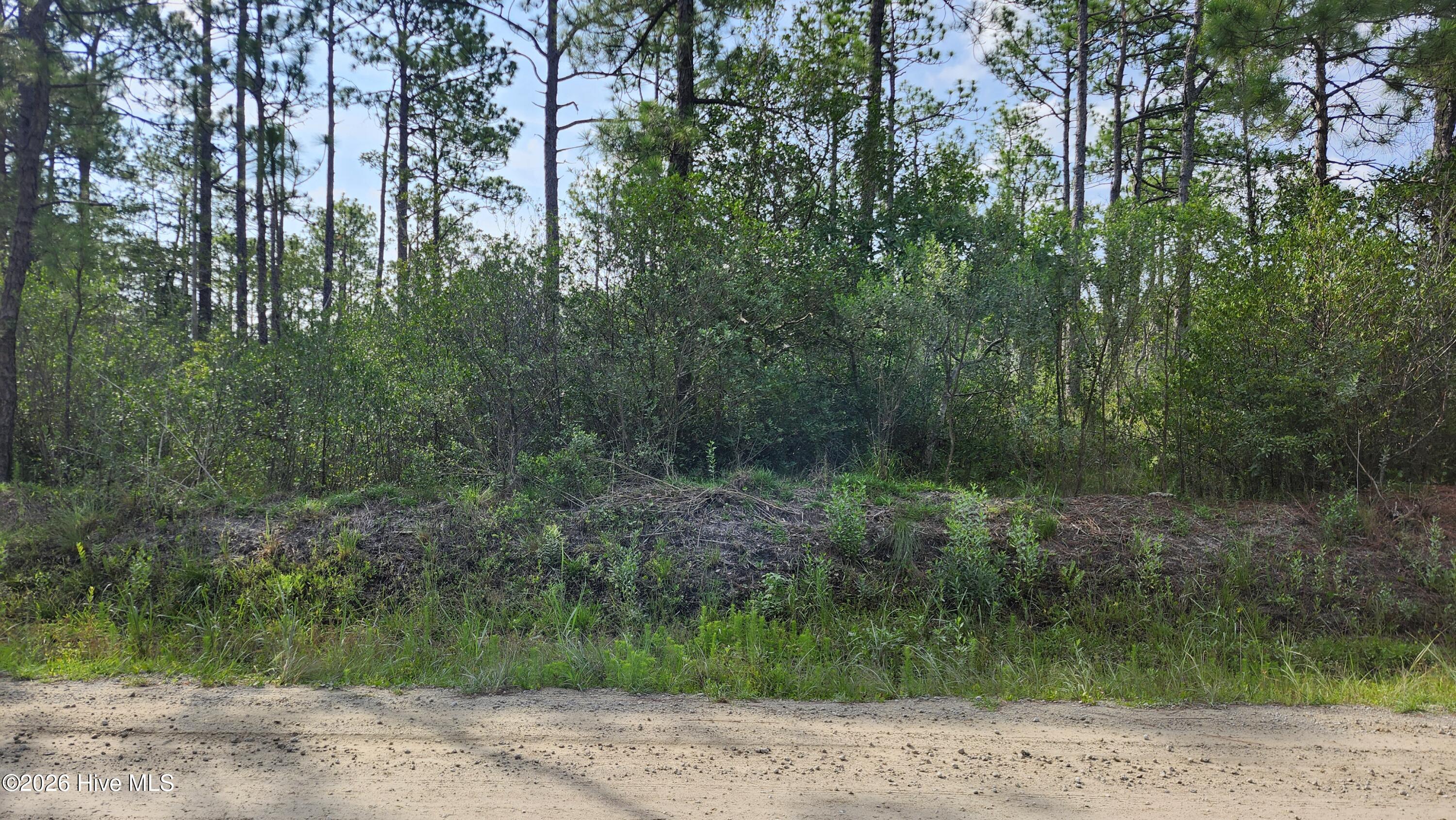 Lot 453 453 Queens Road Property Photo 1