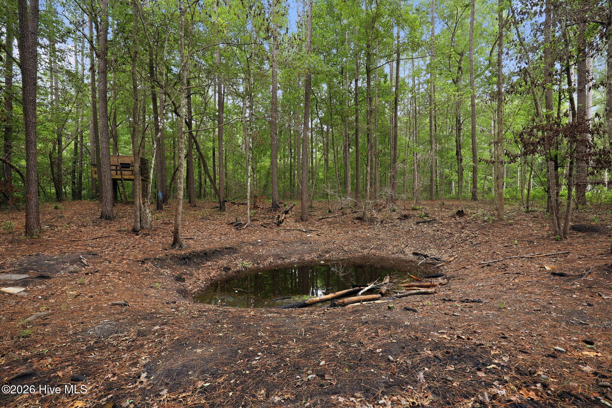407 Rustic Court Property Photo 58