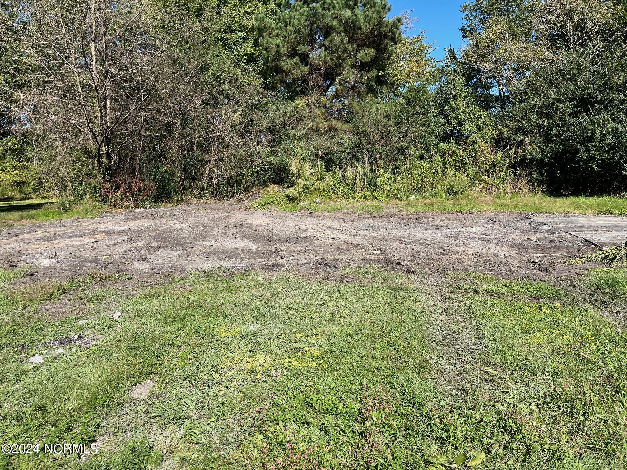 1333 6+parcel B Millpond Road Property Photo 1