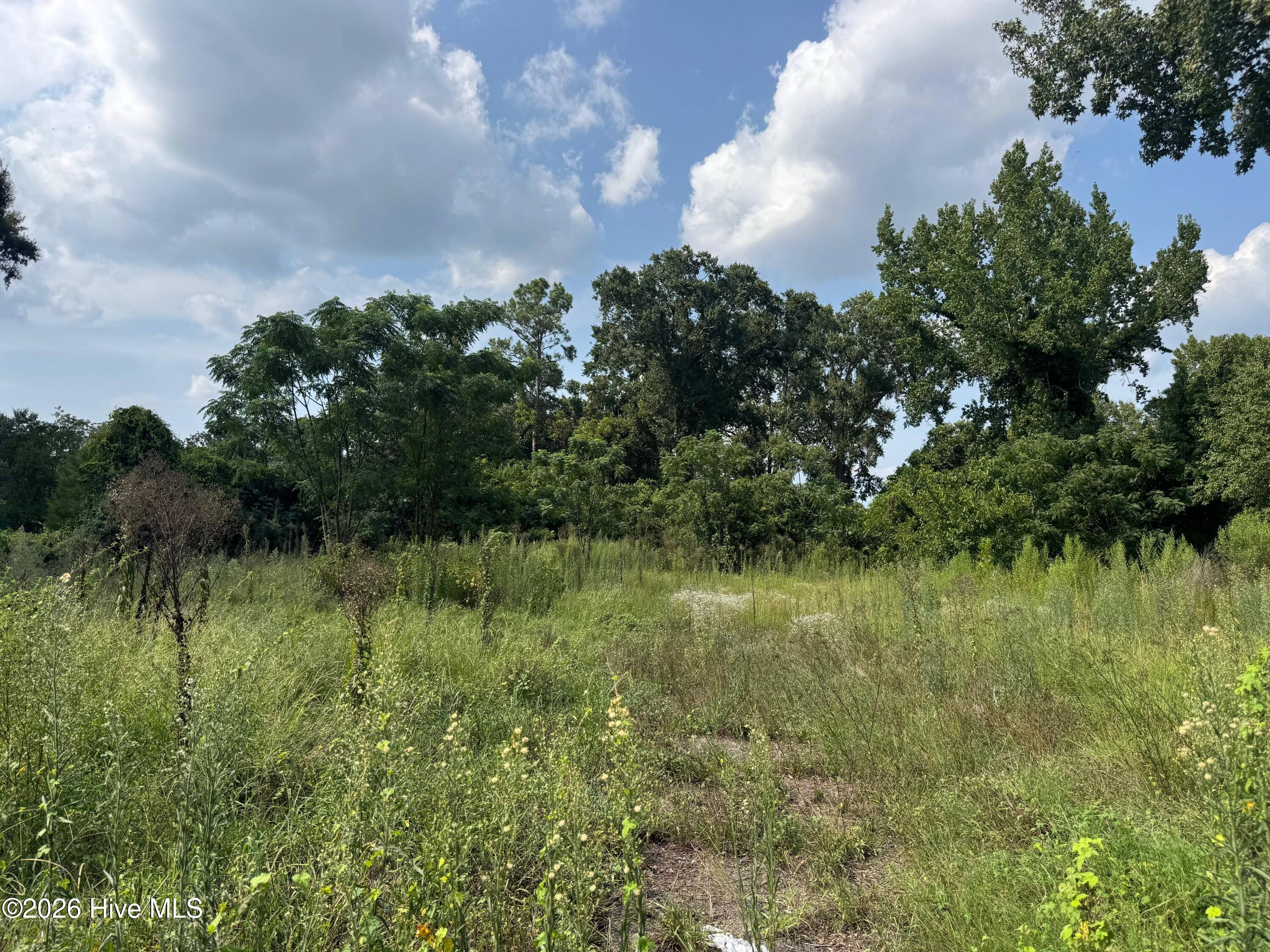 2025 Steiner Avenue Property Photo 1