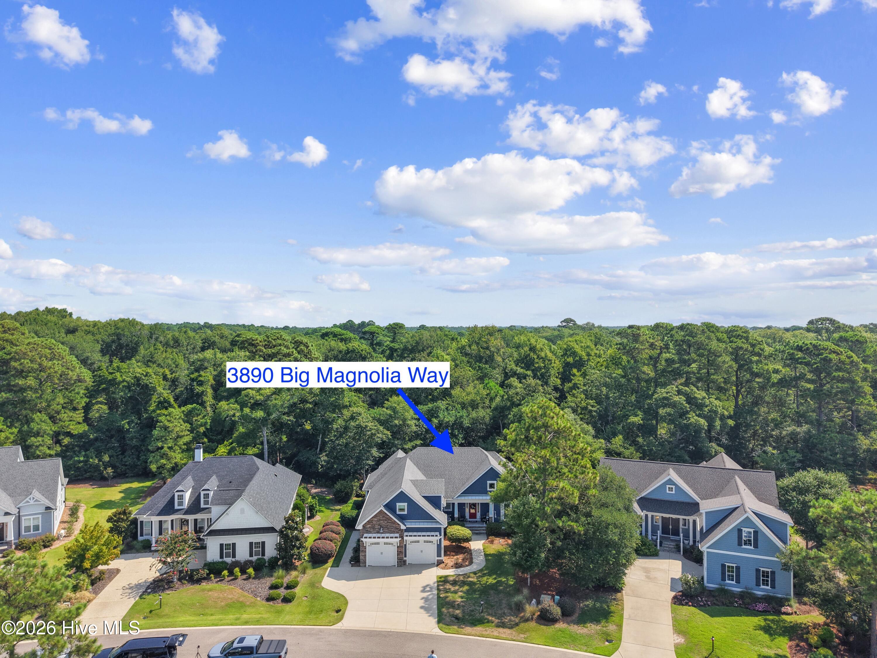 3890 Big Magnolia Way Property Photo 60