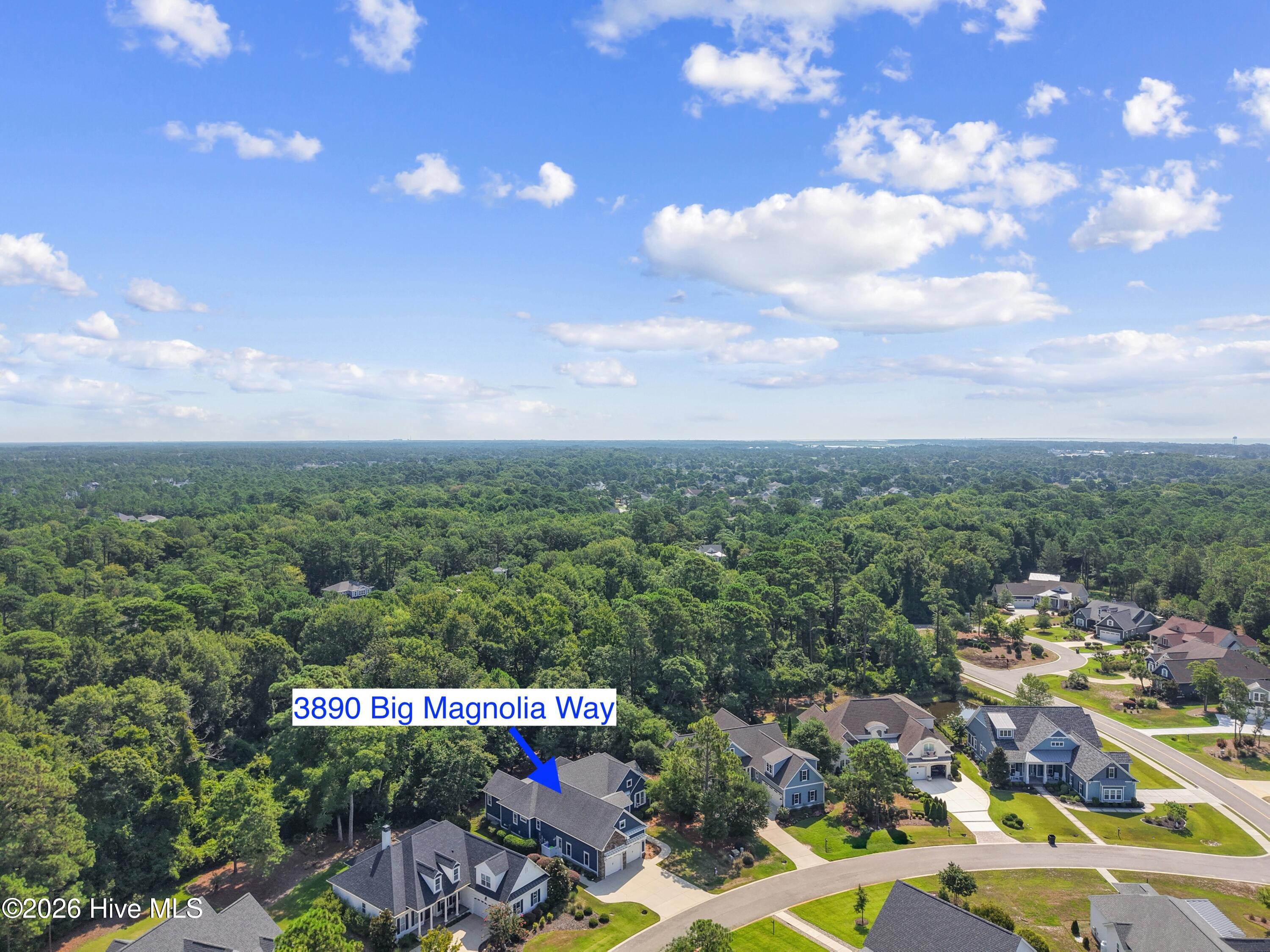 3890 Big Magnolia Way Property Photo 62
