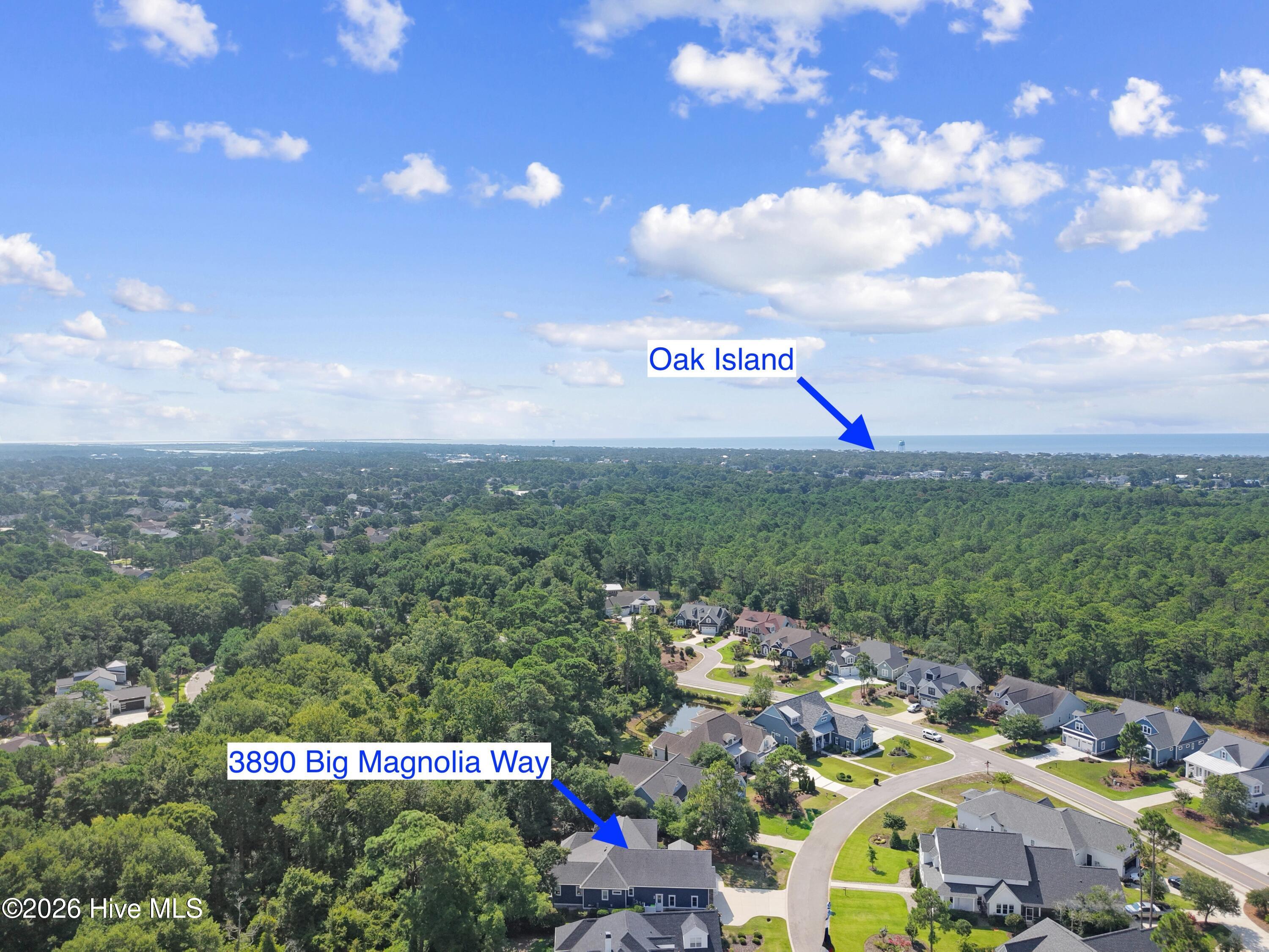 3890 Big Magnolia Way Property Photo 64