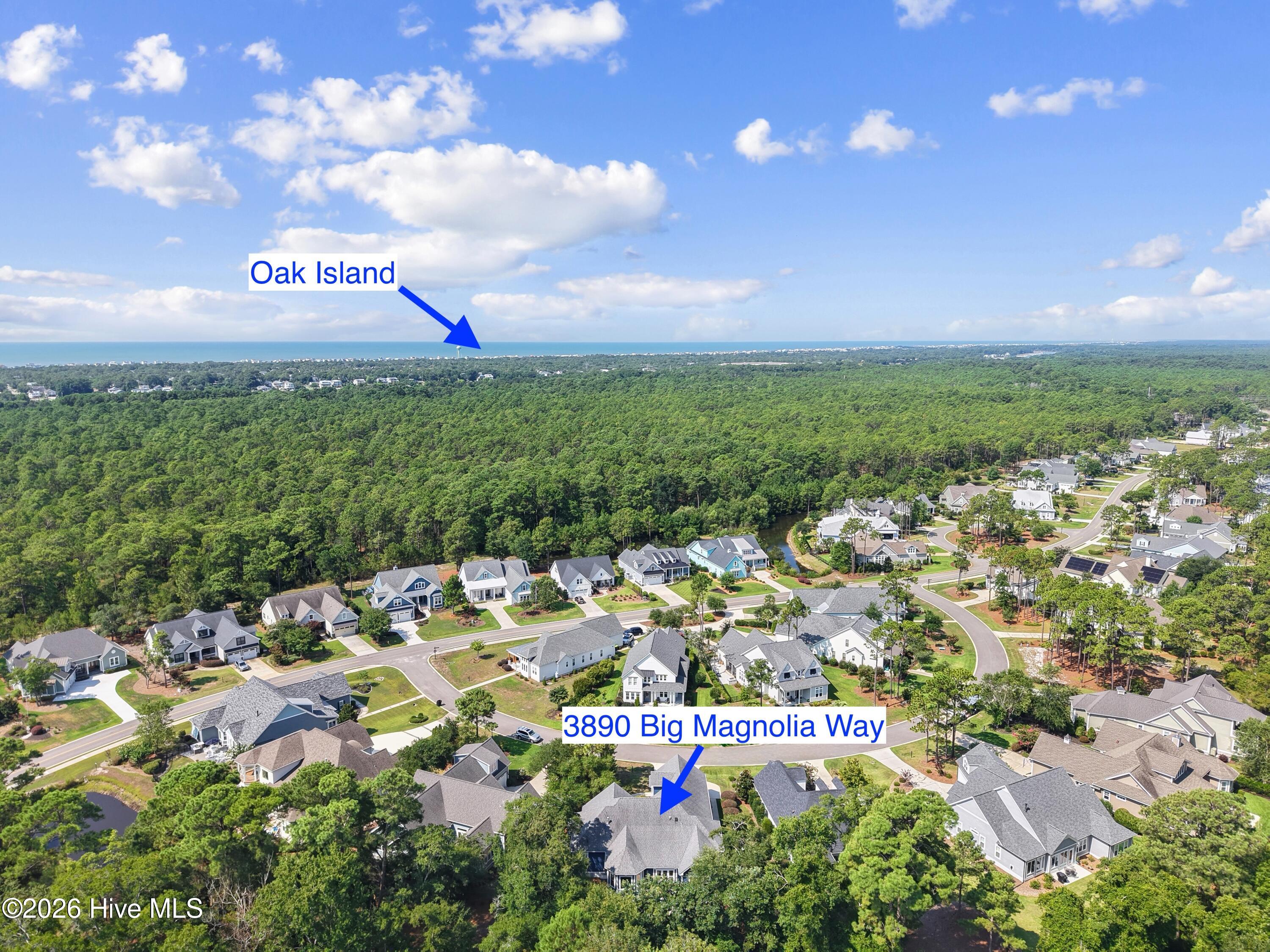 3890 Big Magnolia Way Property Photo 66
