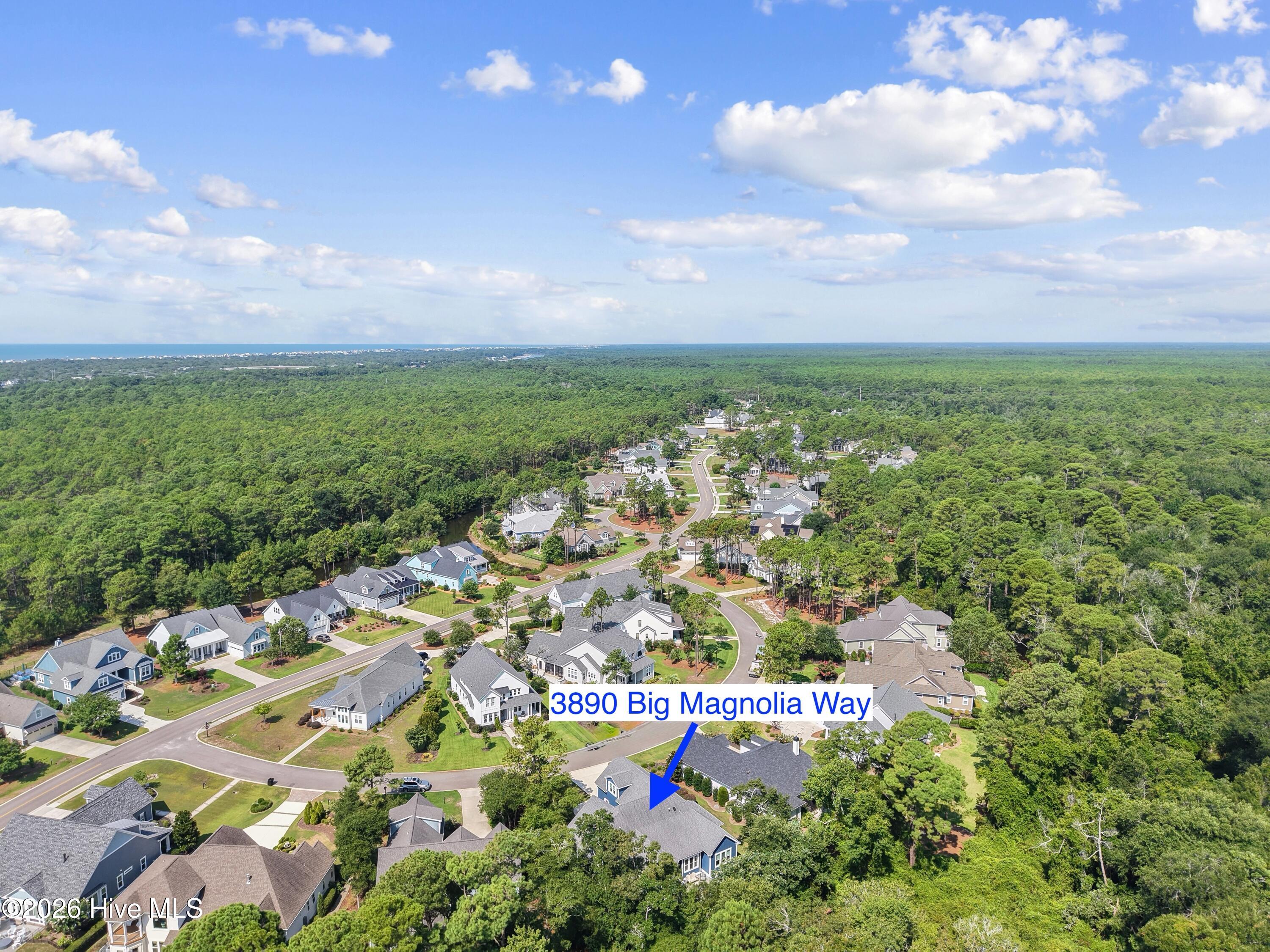 3890 Big Magnolia Way Property Photo 68