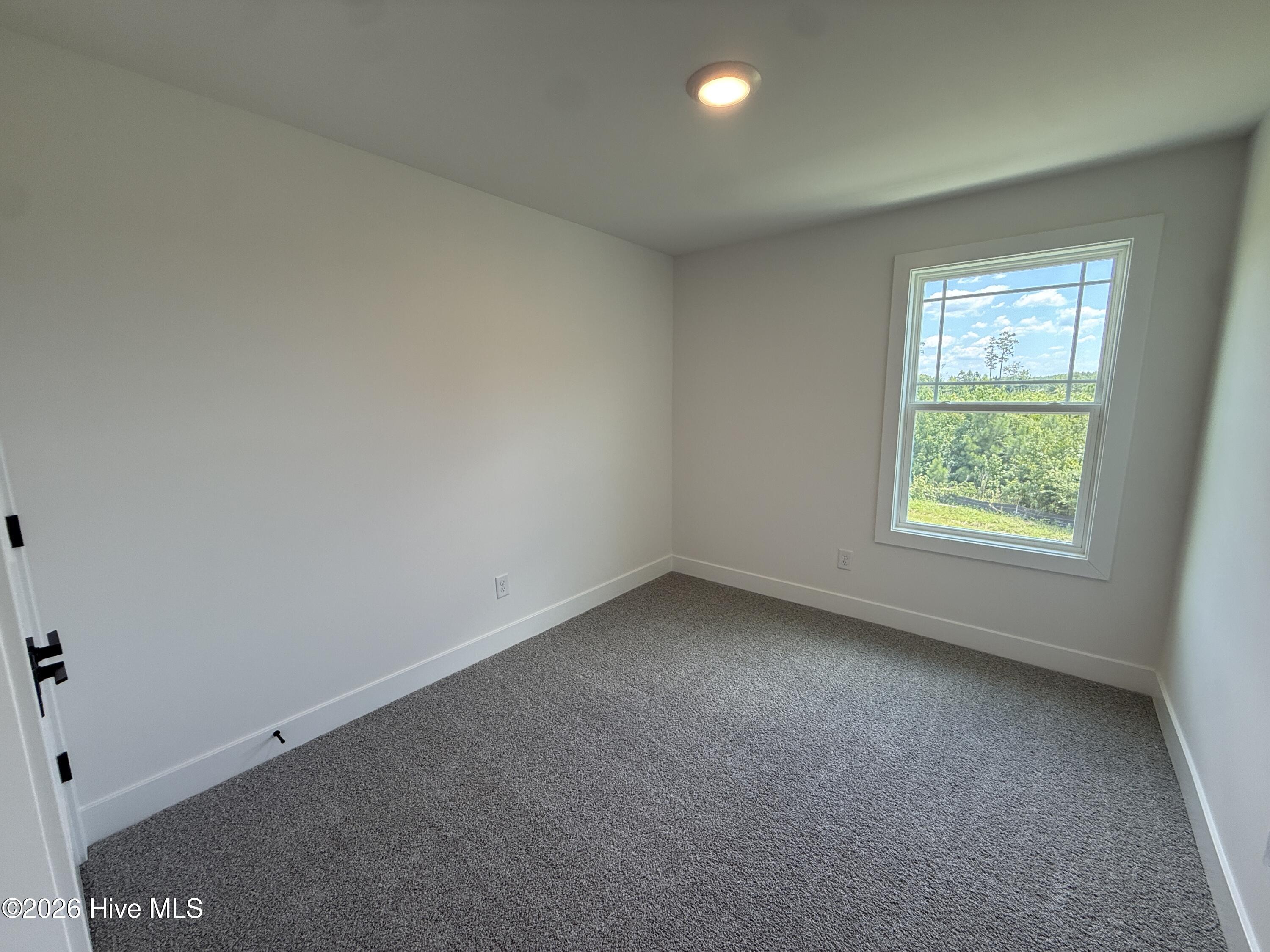 2015 Tharrington Way Property Photo 19