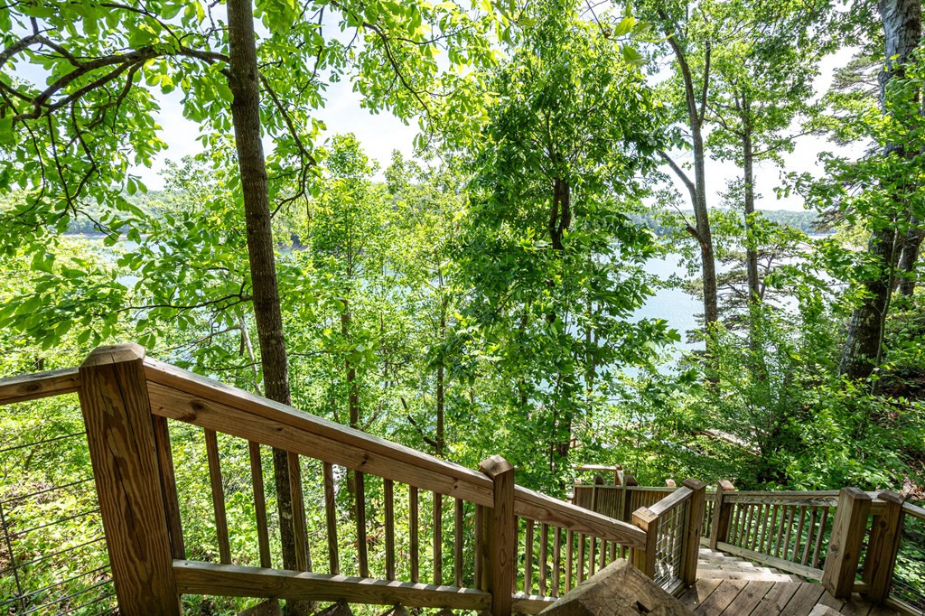 509 Lonesome Pine Road Property Photo 44