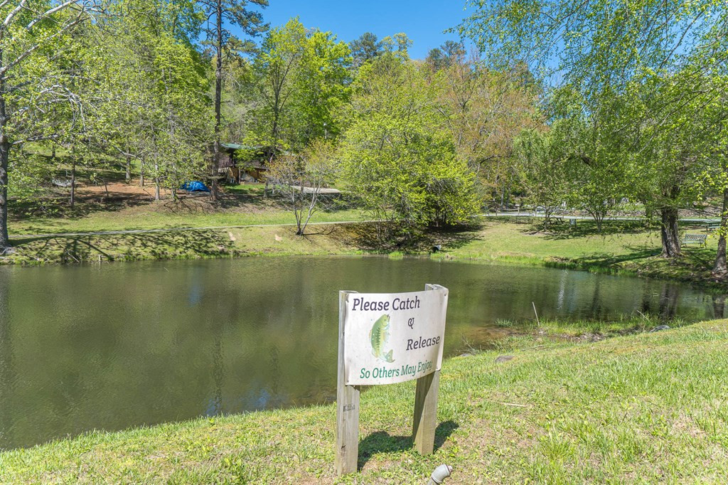 509 Lonesome Pine Road Property Photo 68