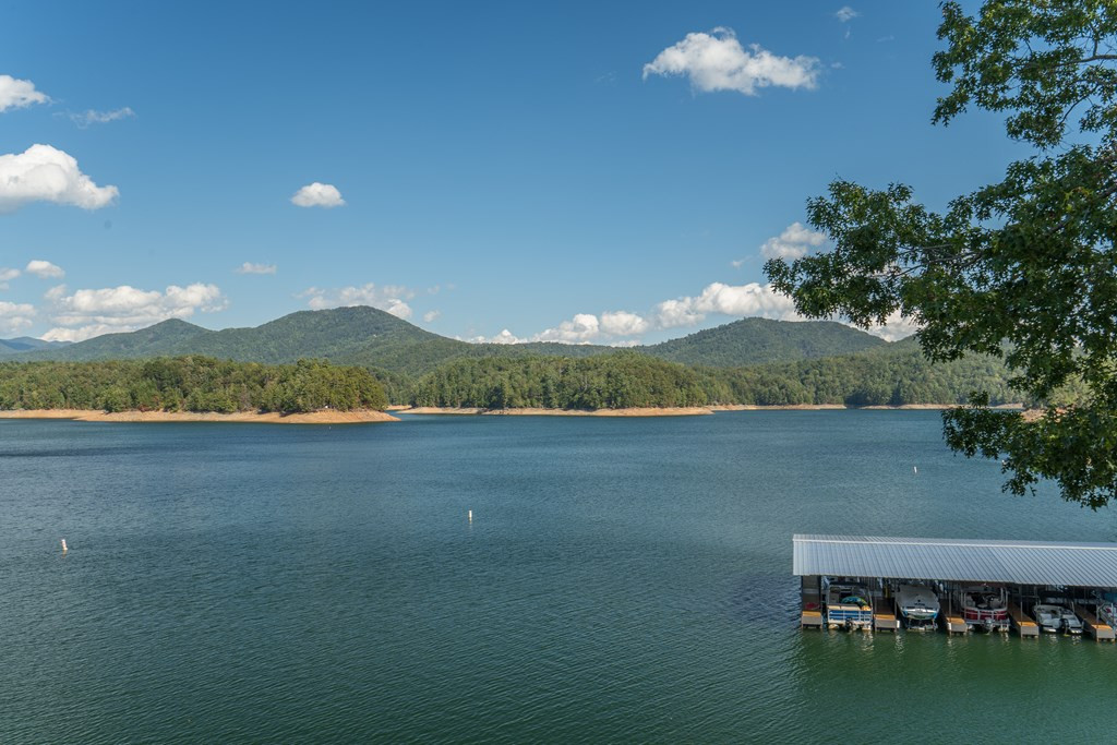 509 Lonesome Pine Road Property Photo 69