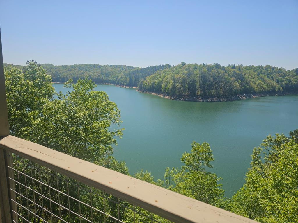 509 Lonesome Pine Road Property Photo 40