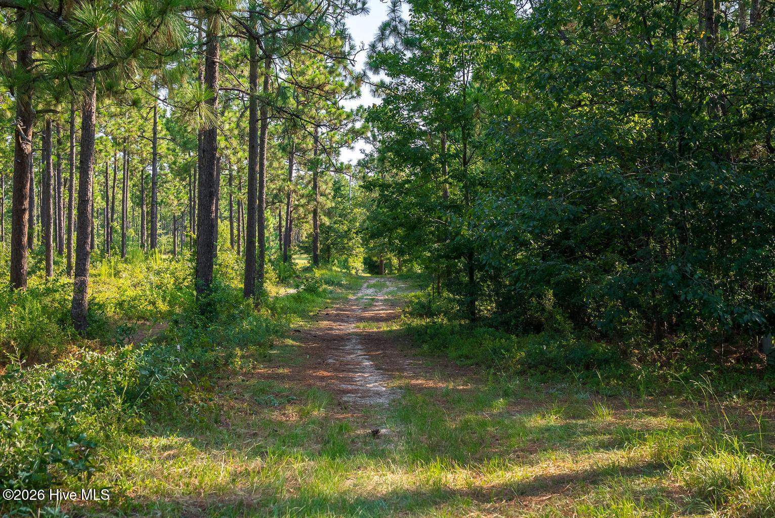 1779 Agile Court Property Photo 61