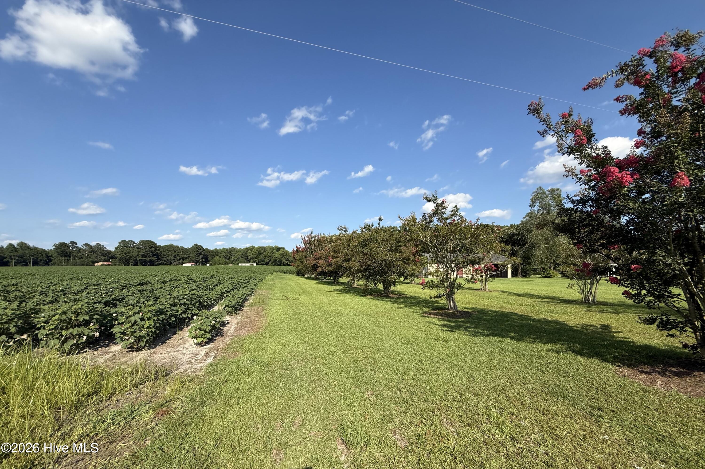 3085 Fire Dept Road Property Photo 2