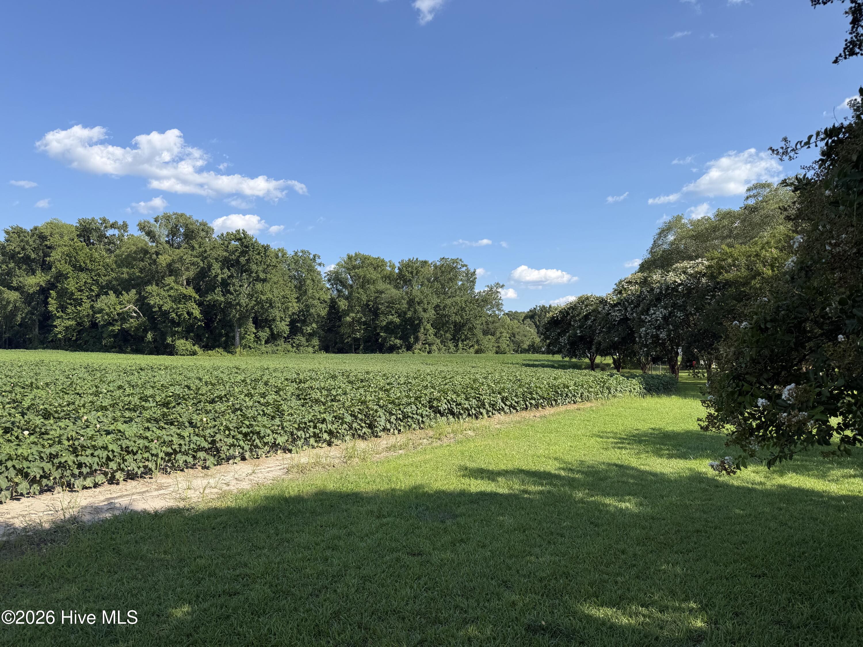 3085 Fire Dept Road Property Photo 7