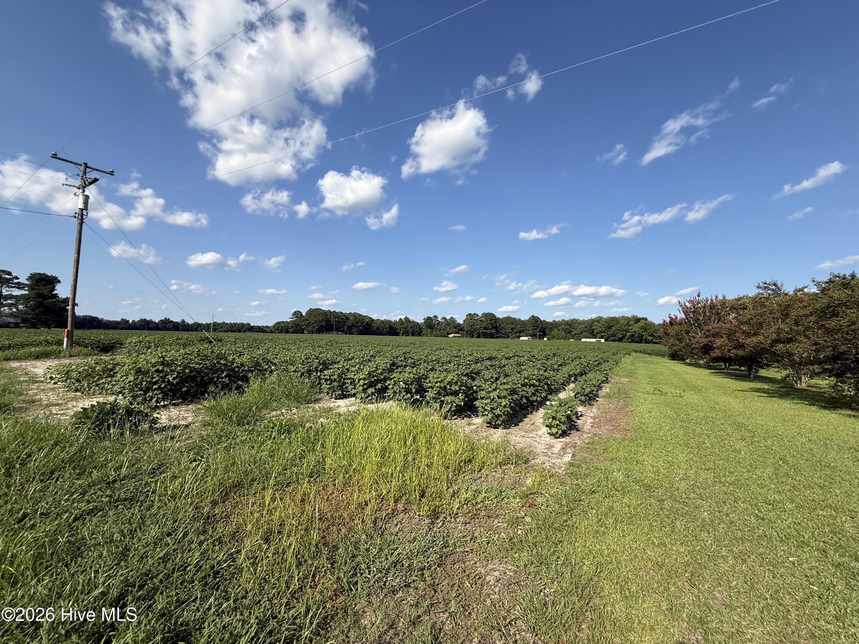 3085 Fire Dept Road Property Photo 8