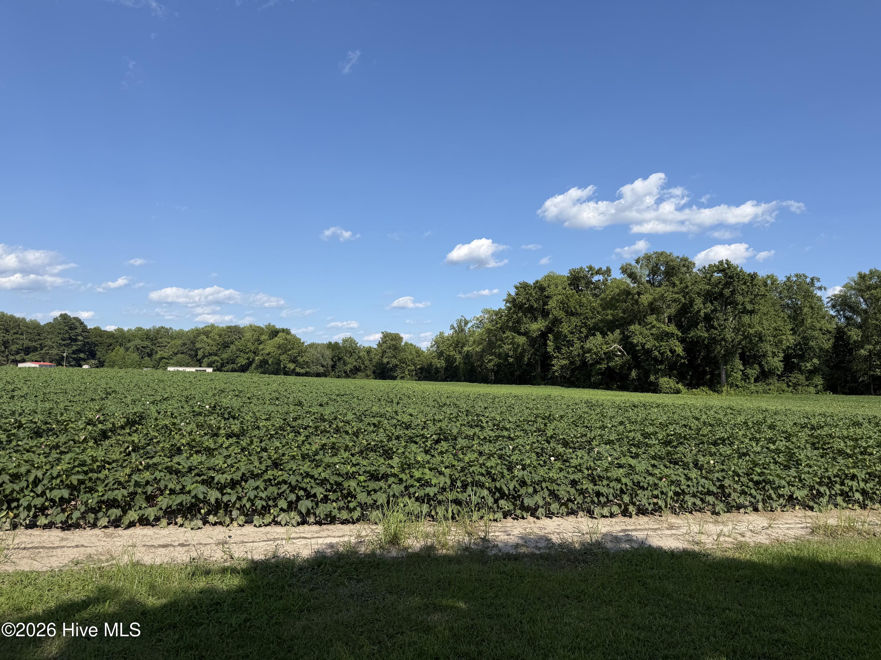 3085 Fire Dept Road Property Photo 10