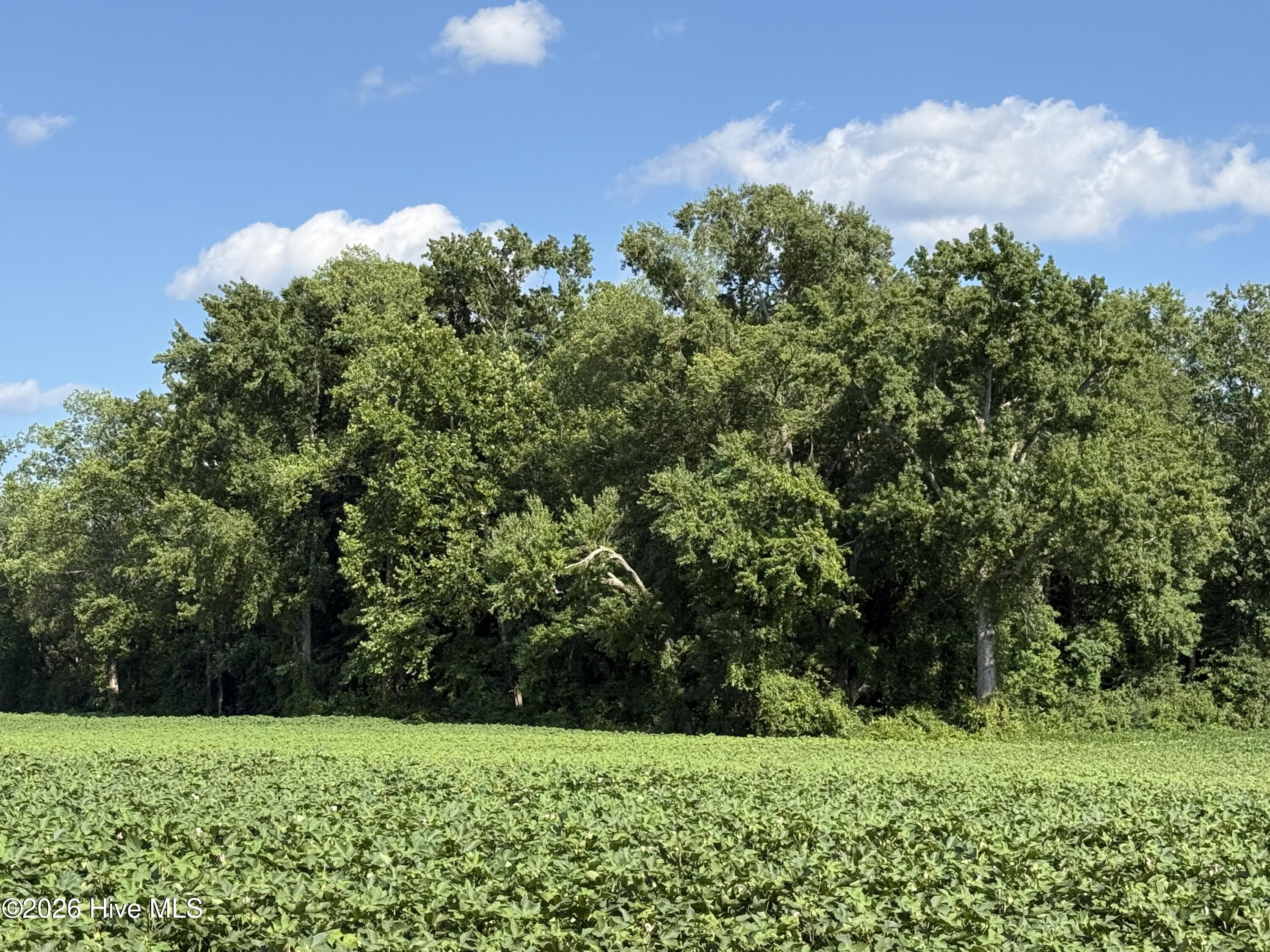 3085 Fire Dept Road Property Photo 11