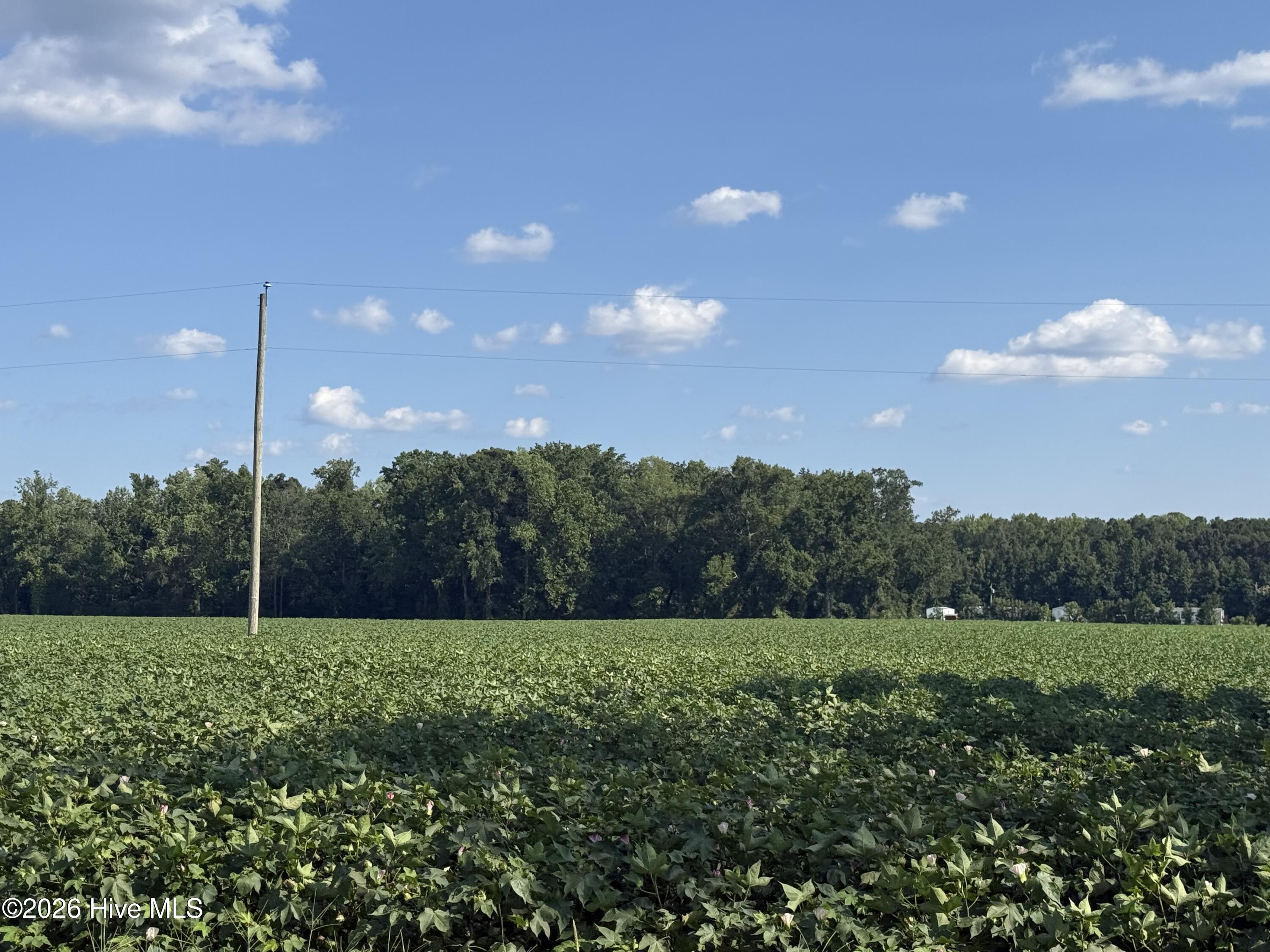3085 Fire Dept Road Property Photo 12
