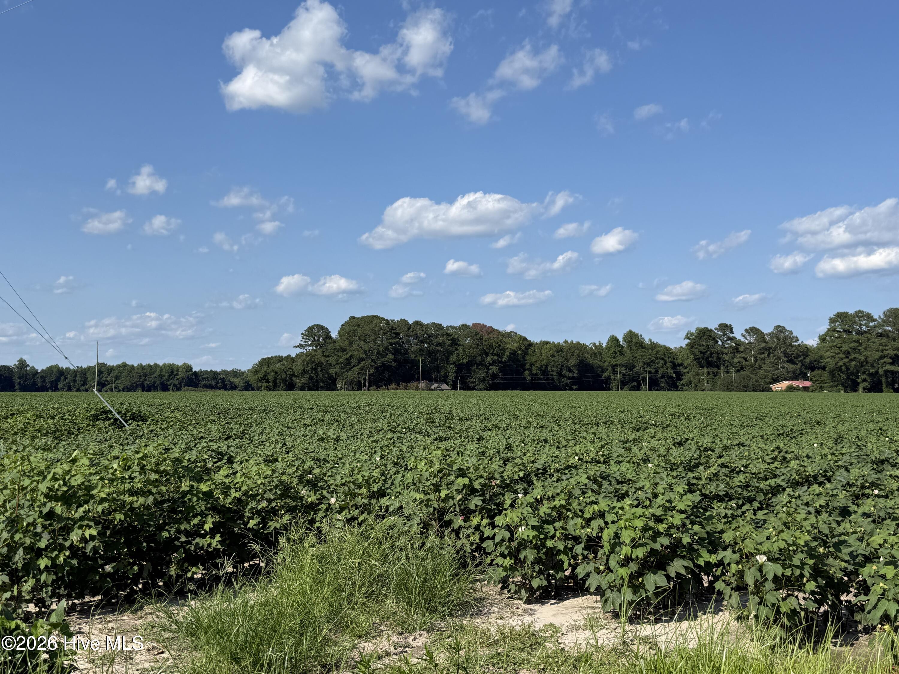 3085 Fire Dept Road Property Photo 13