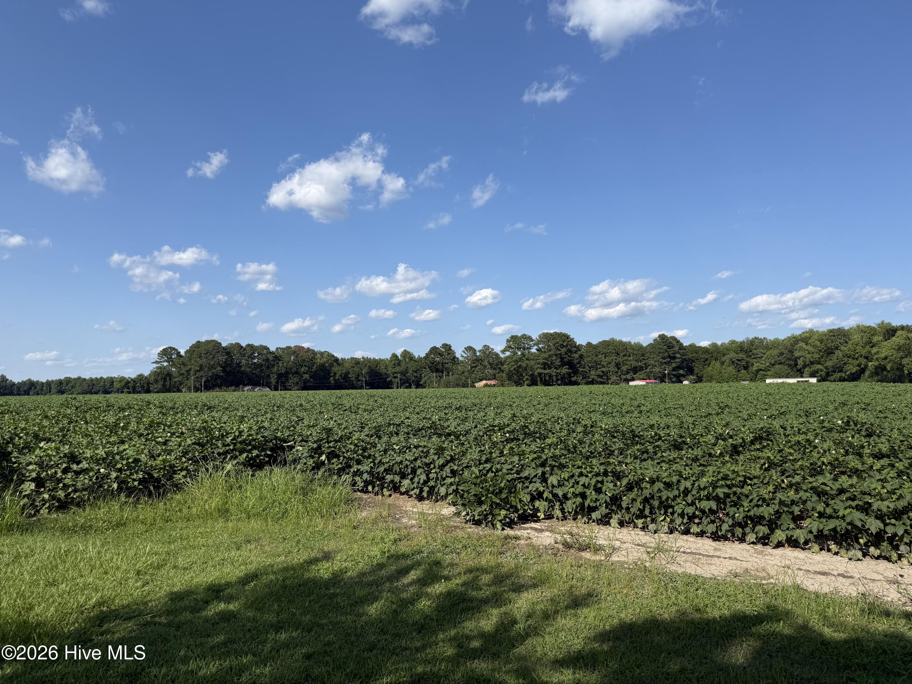 3085 Fire Dept Road Property Photo 14