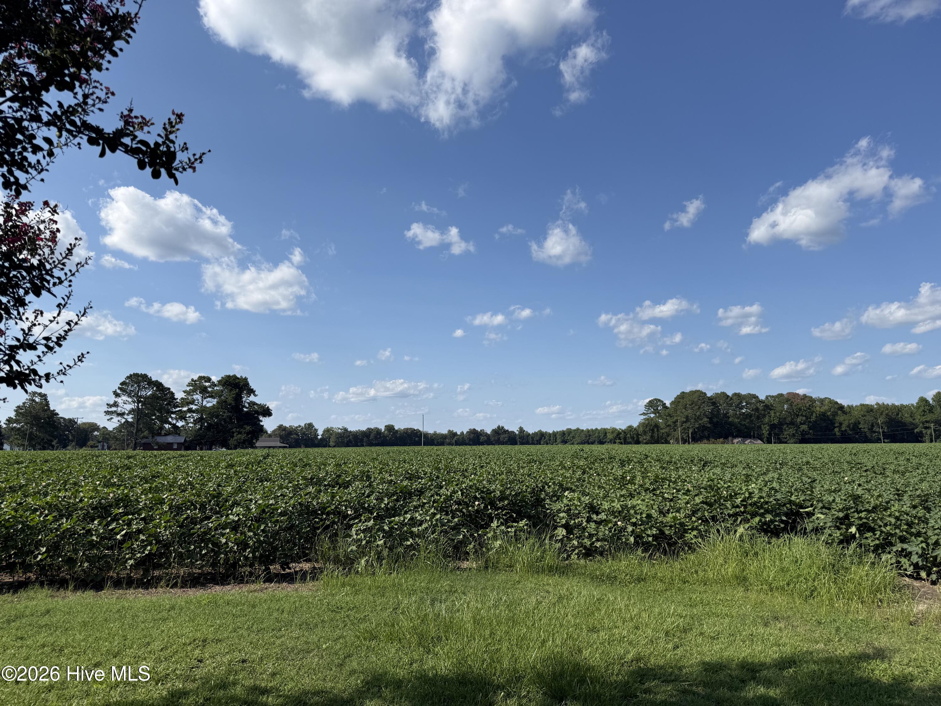 3085 Fire Dept Road Property Photo 16
