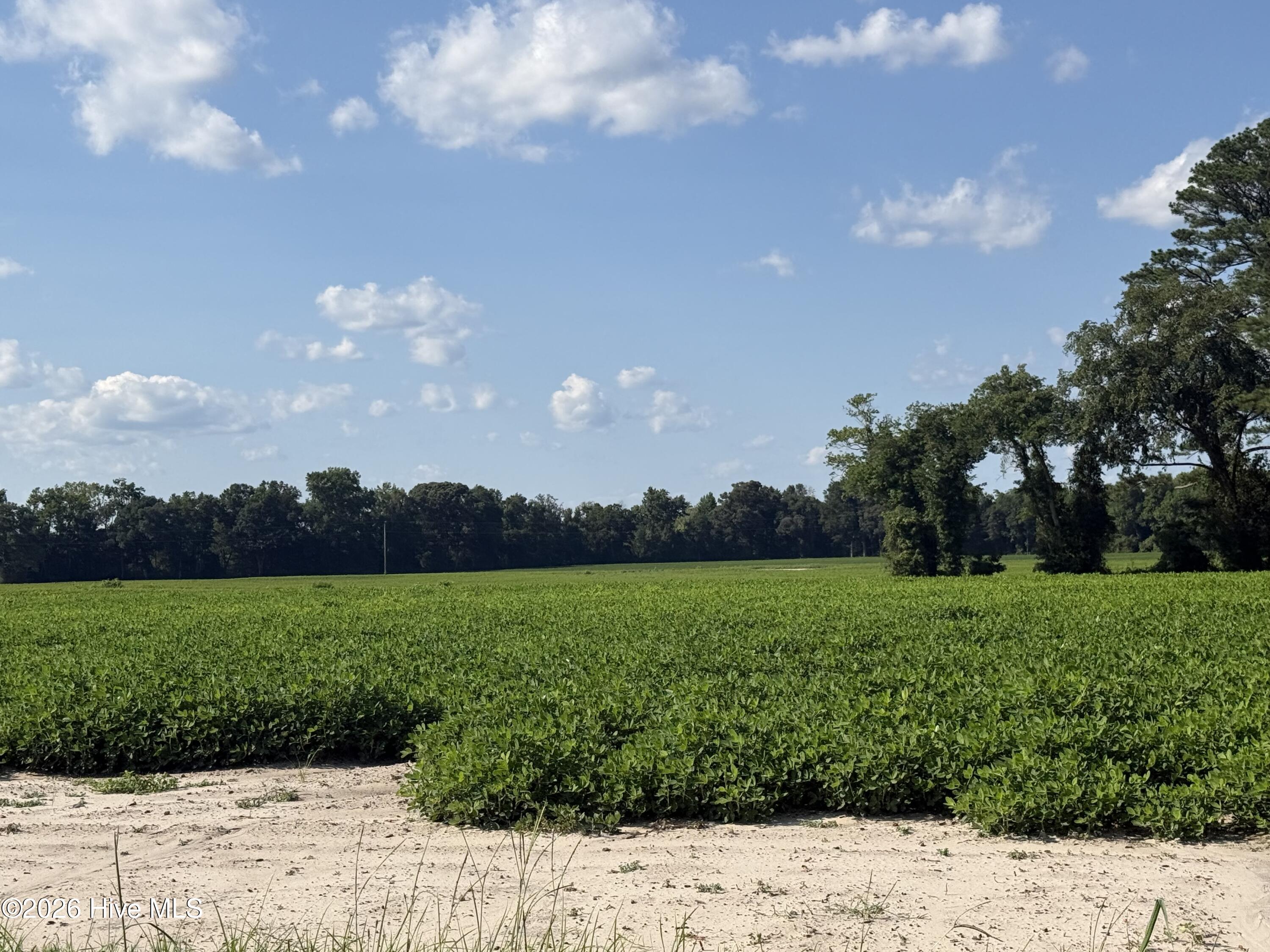3085 Fire Dept Road Property Photo 17