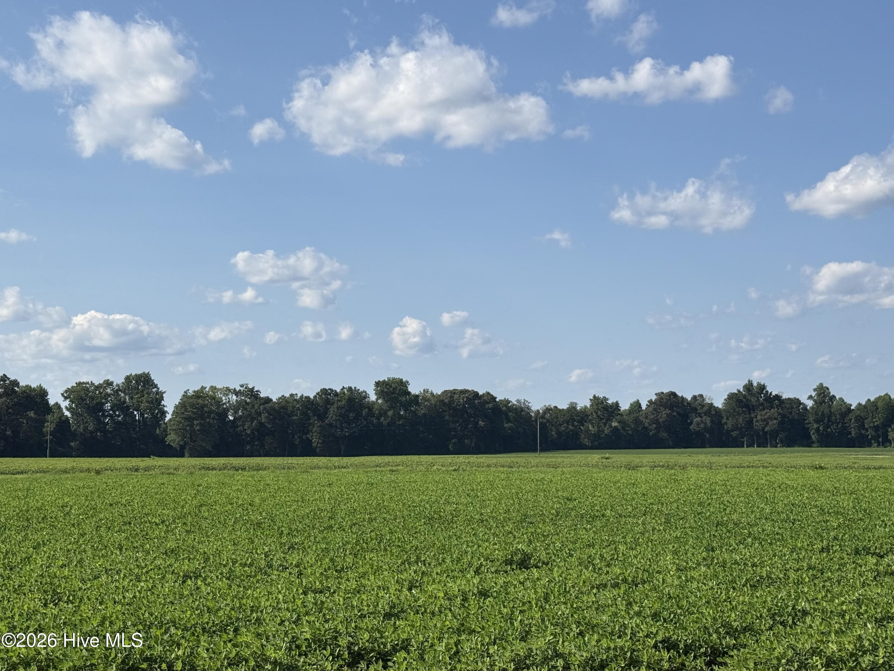 3085 Fire Dept Road Property Photo 18