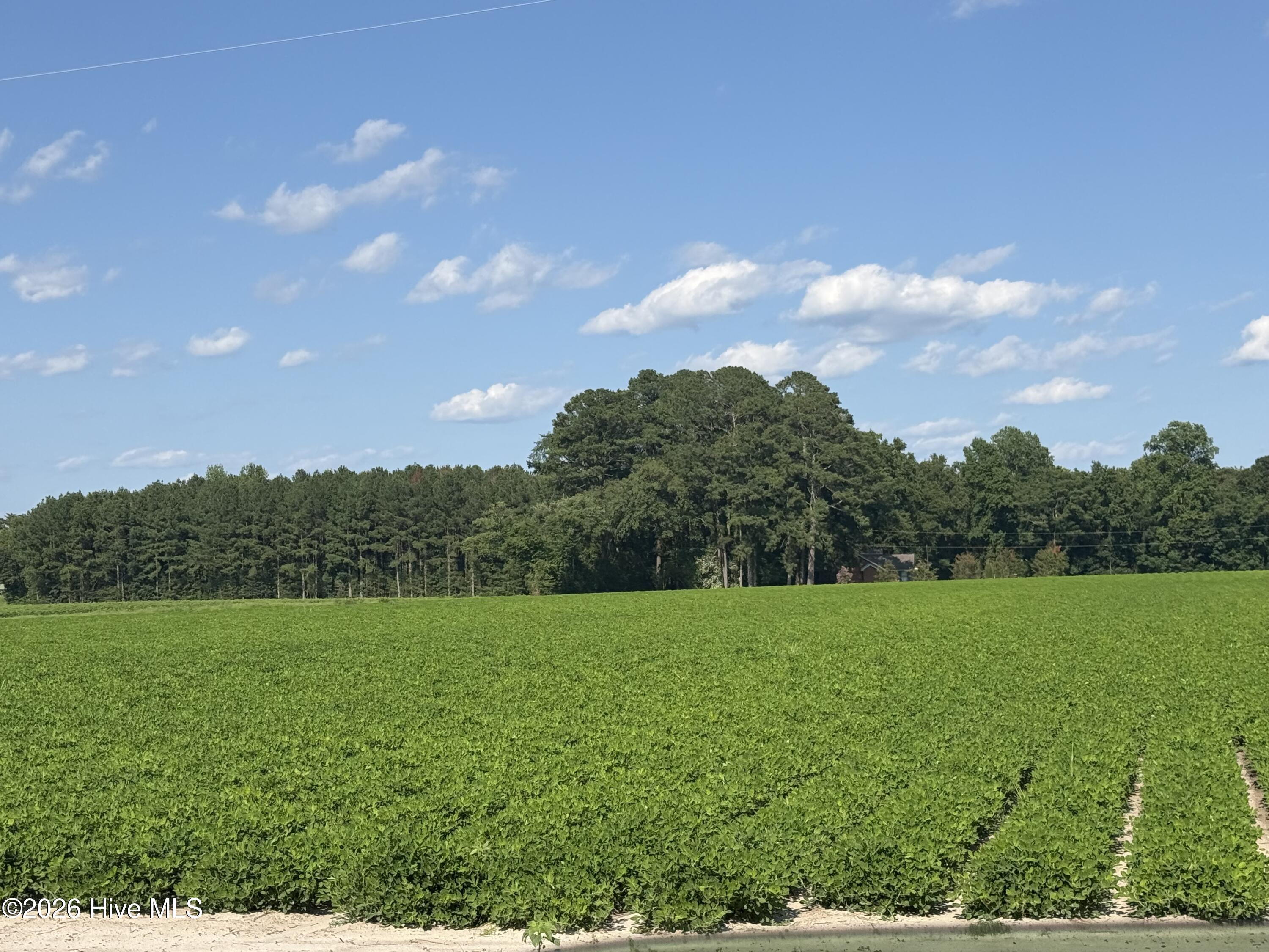3085 Fire Dept Road Property Photo 19