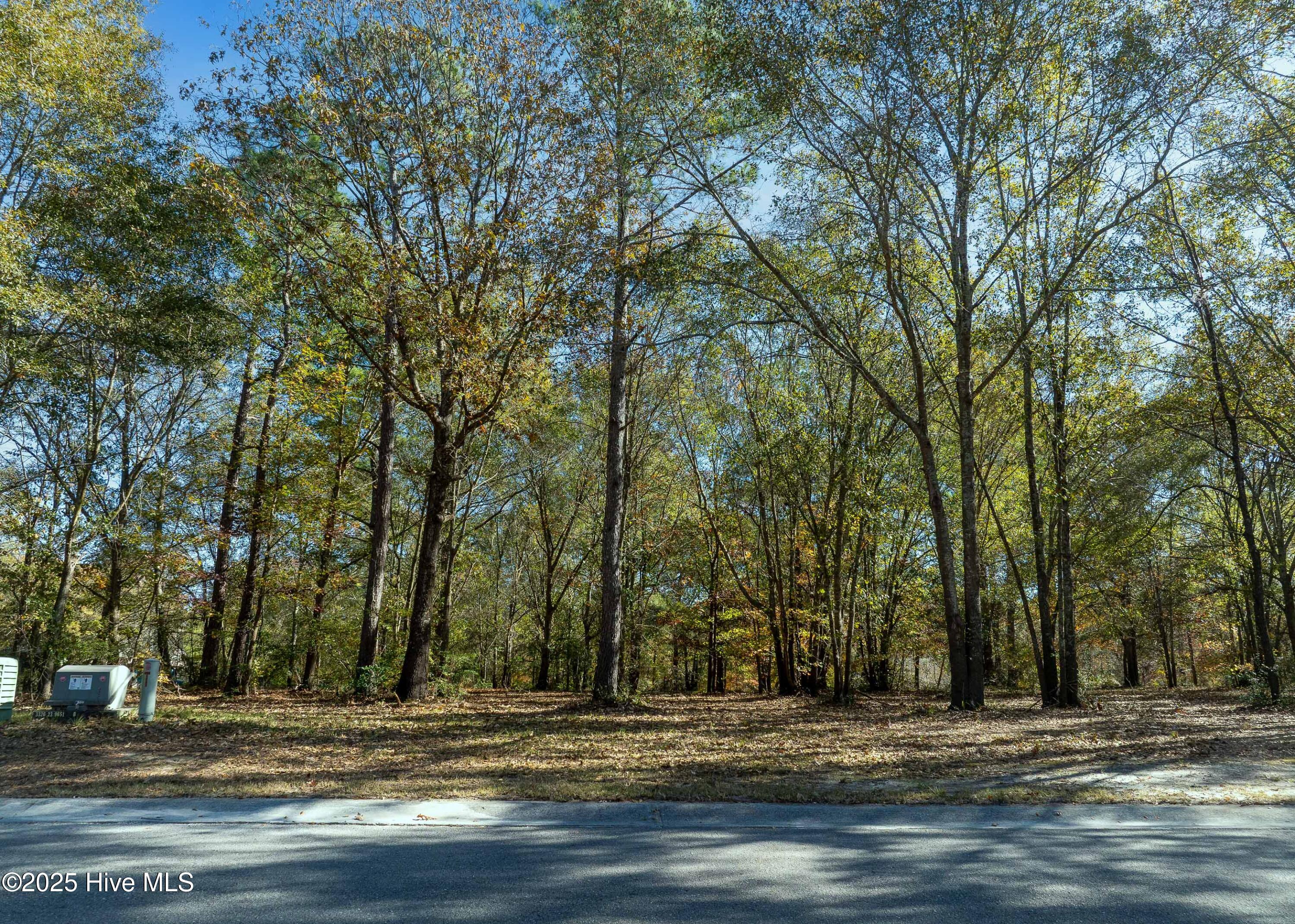 167 River Ridge Drive Property Photo 5