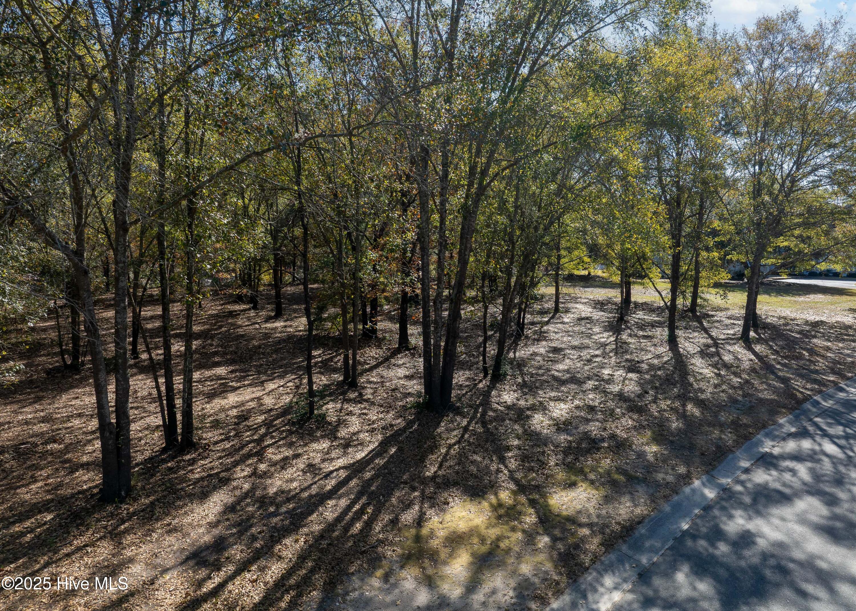 167 River Ridge Drive Property Photo 6