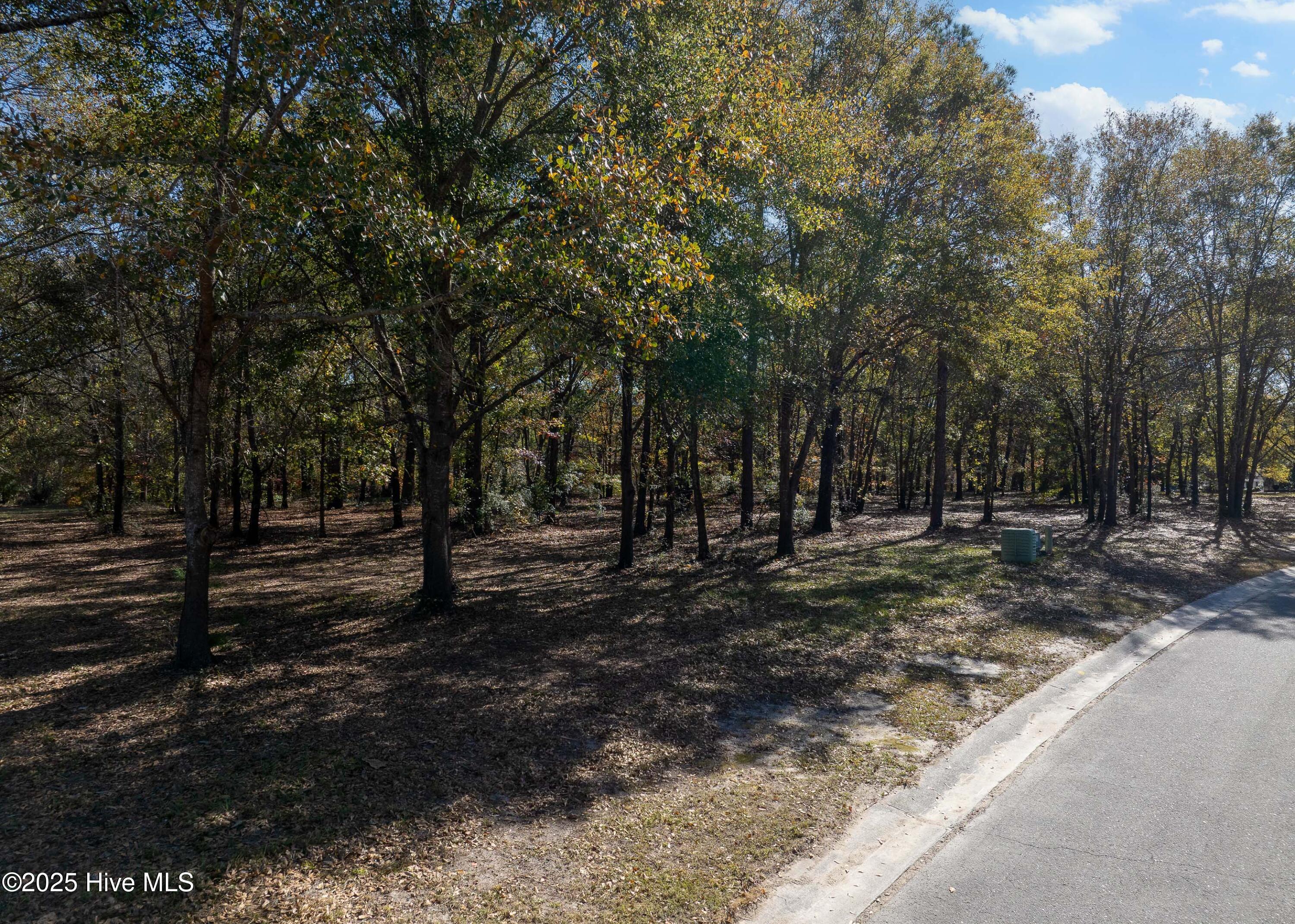 167 River Ridge Drive Property Photo 7