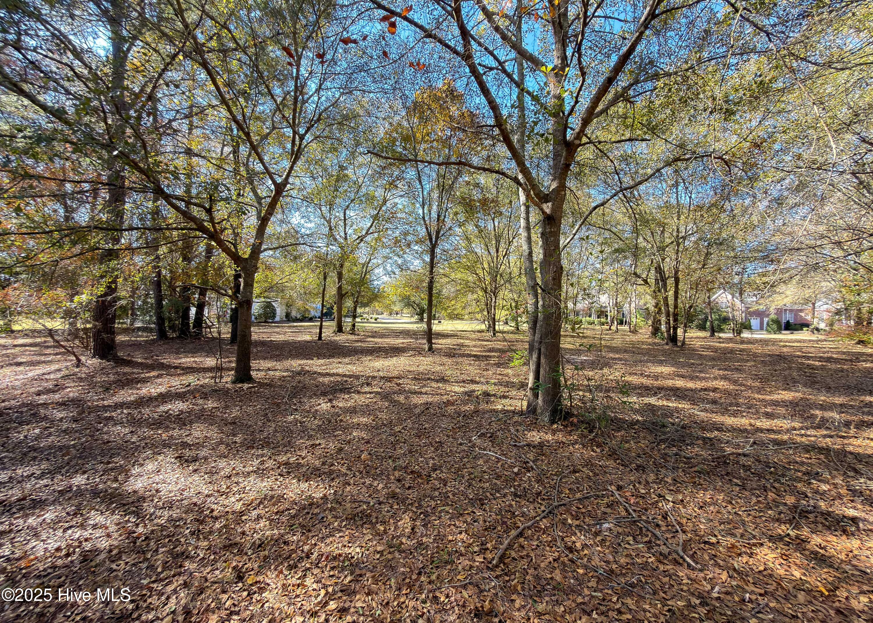 167 River Ridge Drive Property Photo 8