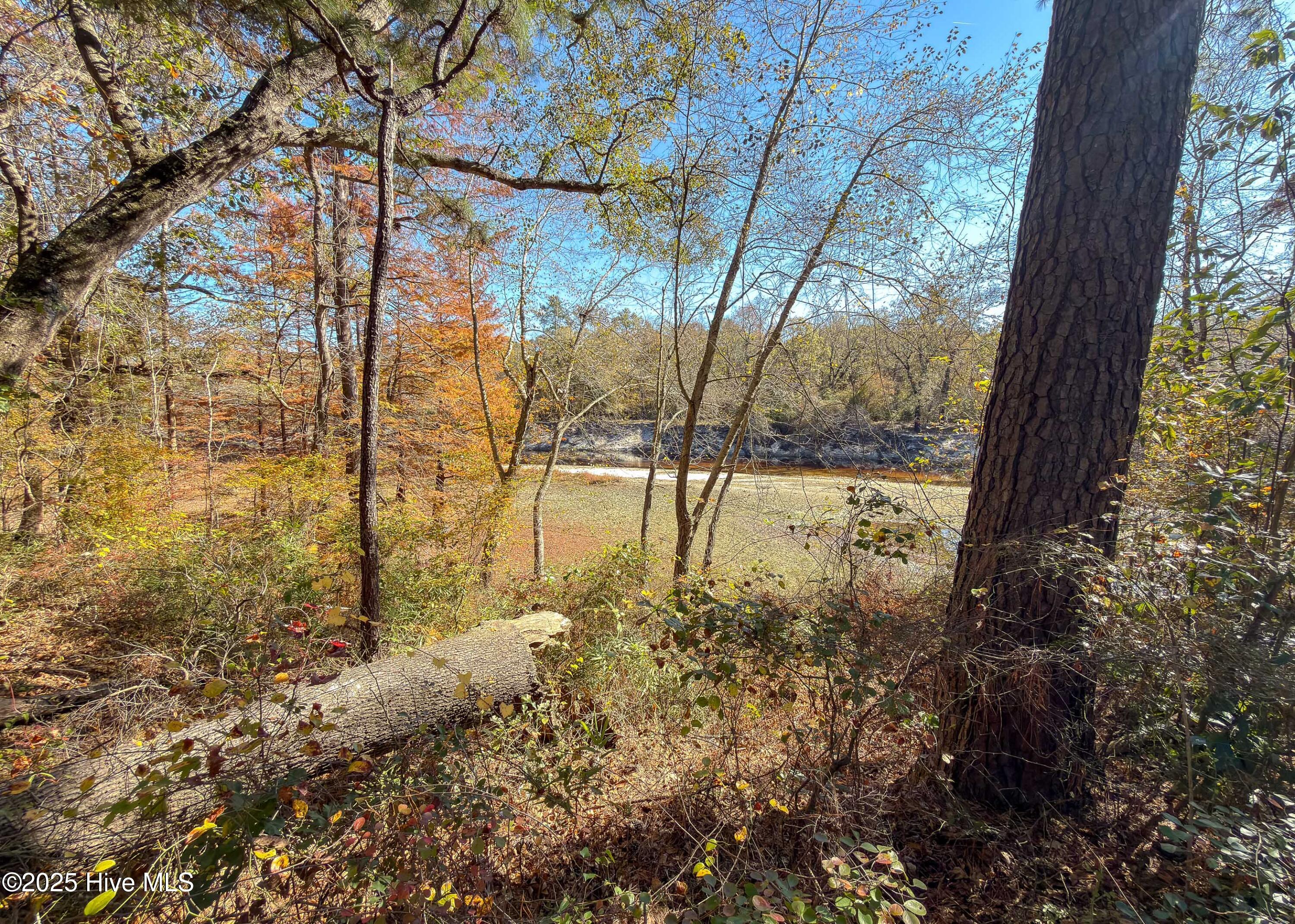 167 River Ridge Drive Property Photo 11