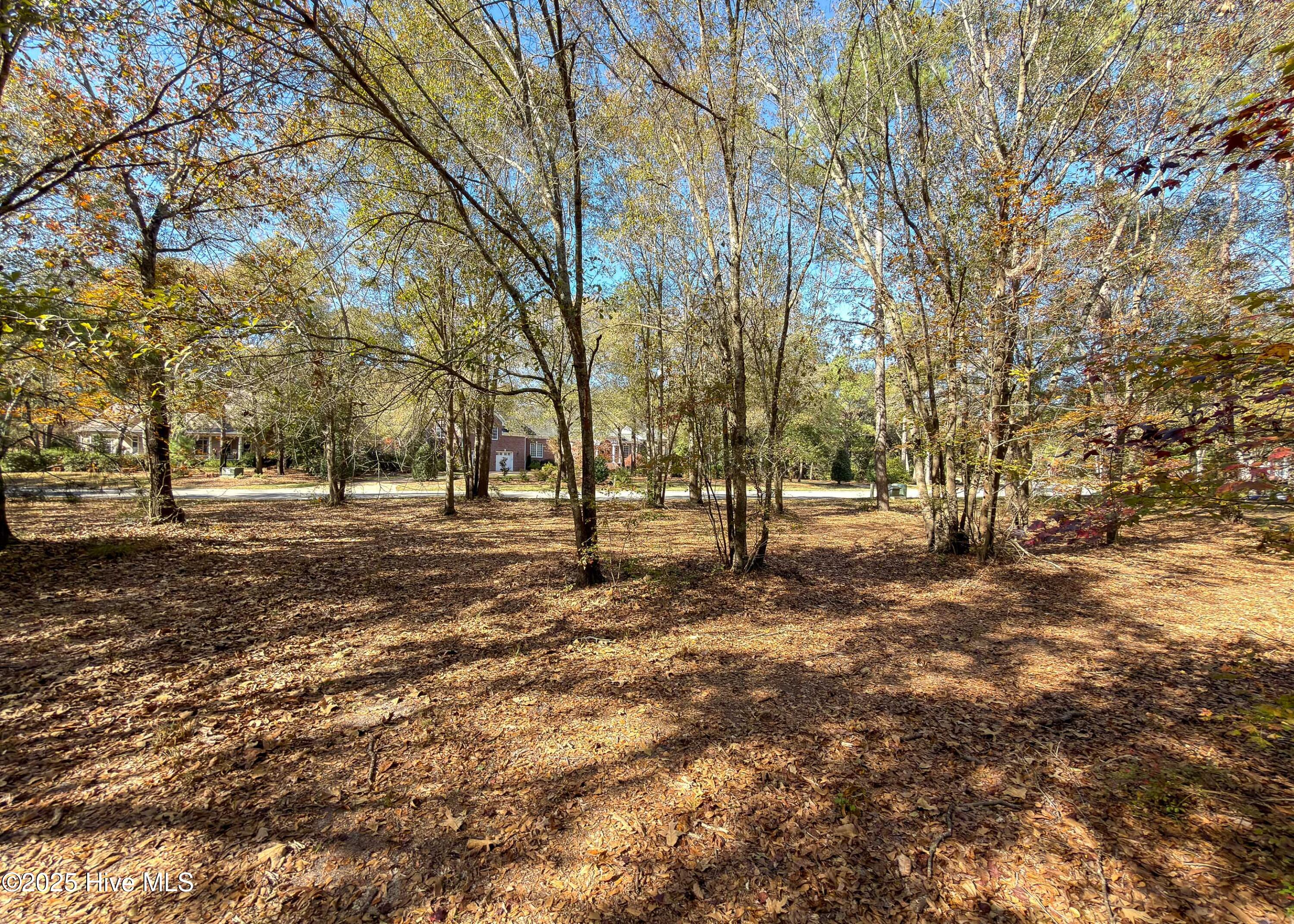 167 River Ridge Drive Property Photo 12