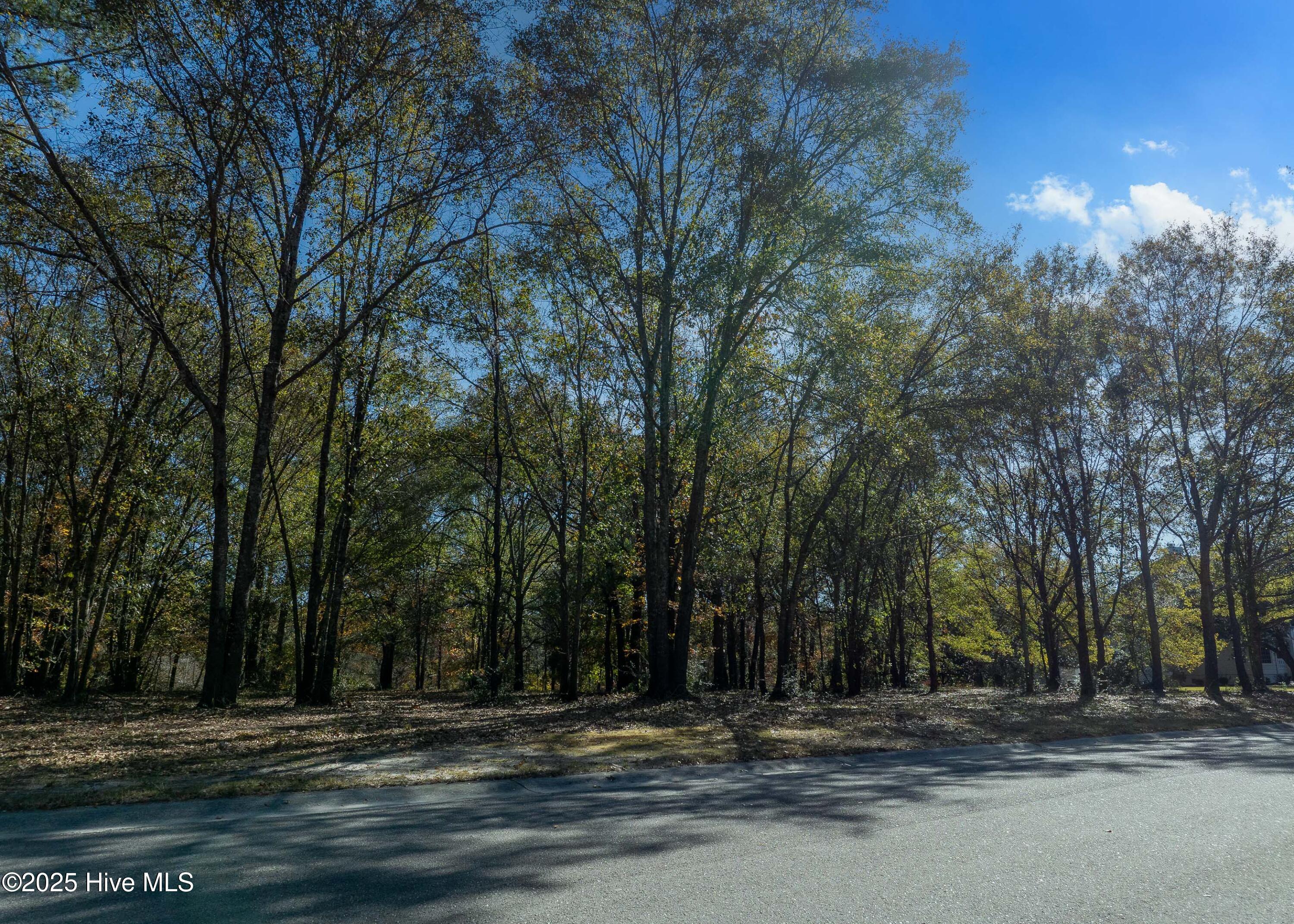 167 River Ridge Drive Property Photo 13
