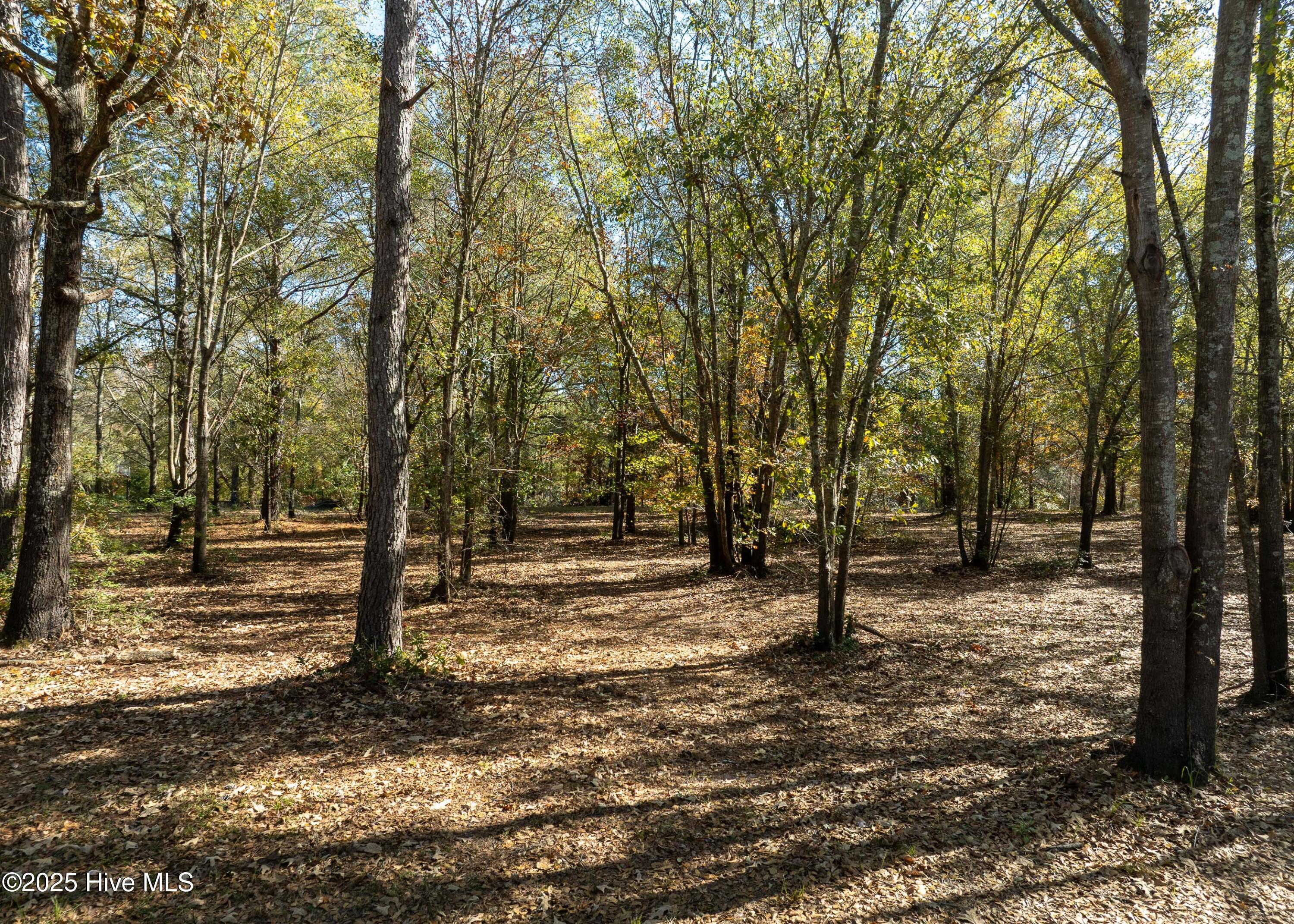 167 River Ridge Drive Property Photo 14