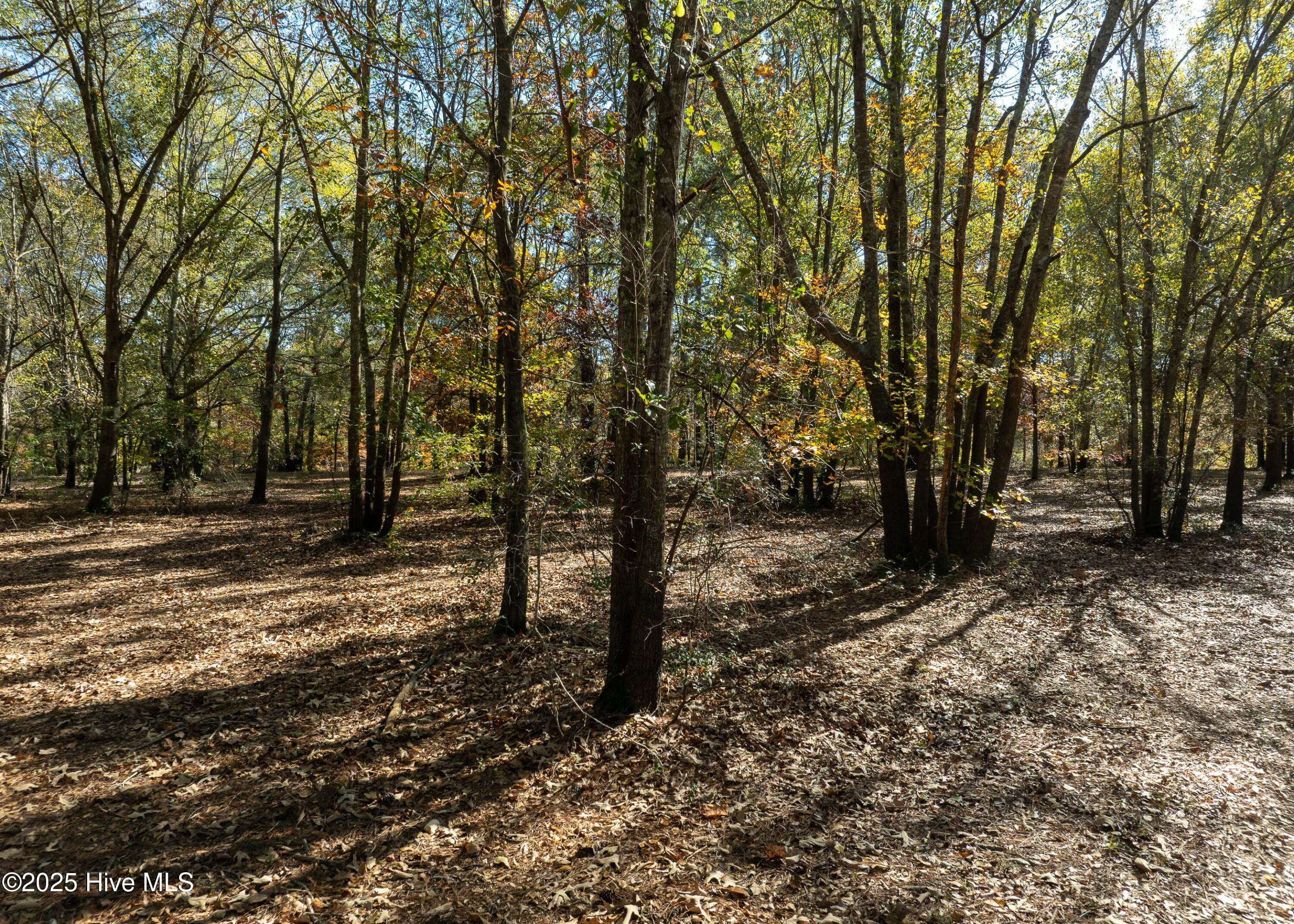 167 River Ridge Drive Property Photo 31