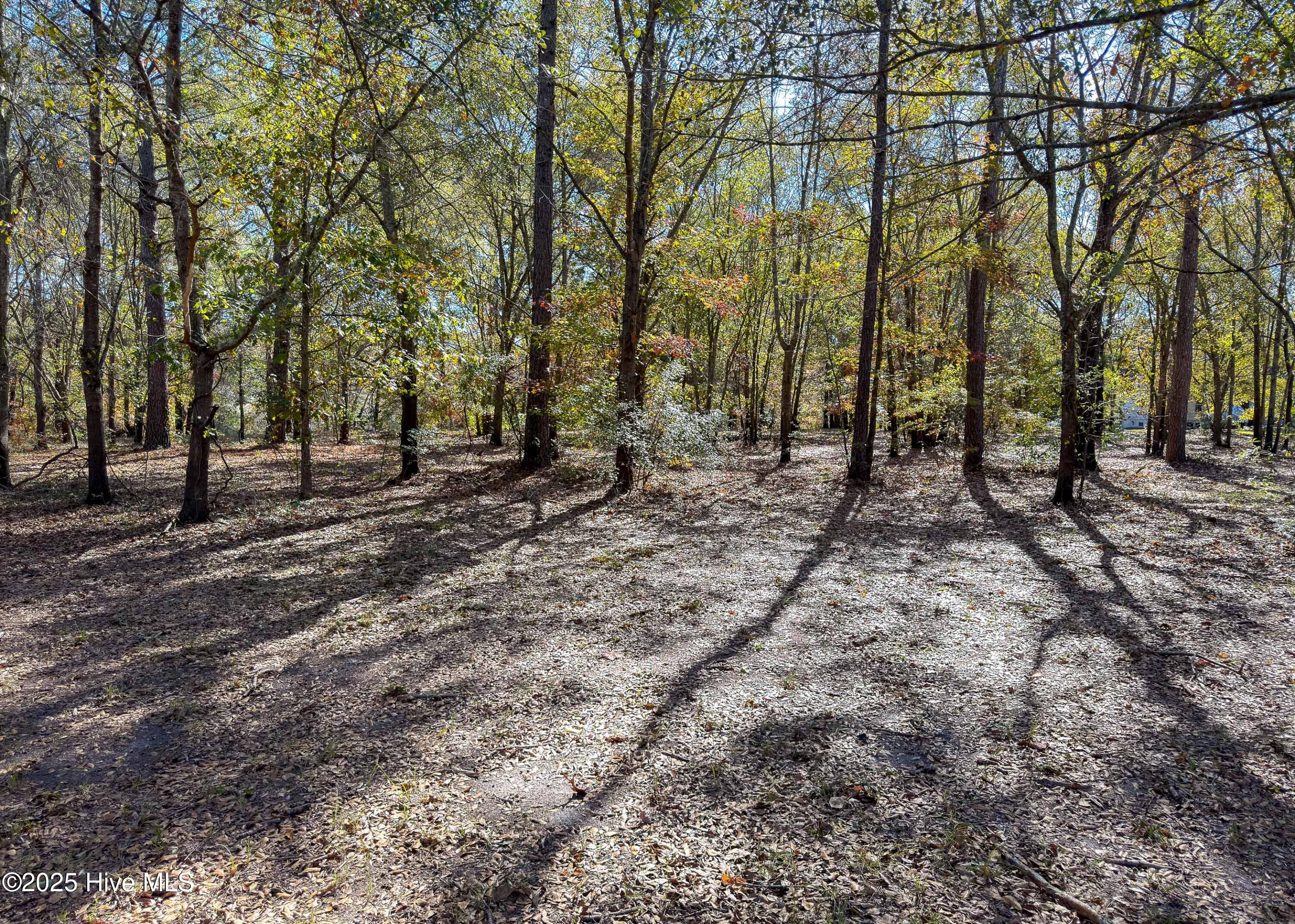 167 River Ridge Drive Property Photo 32