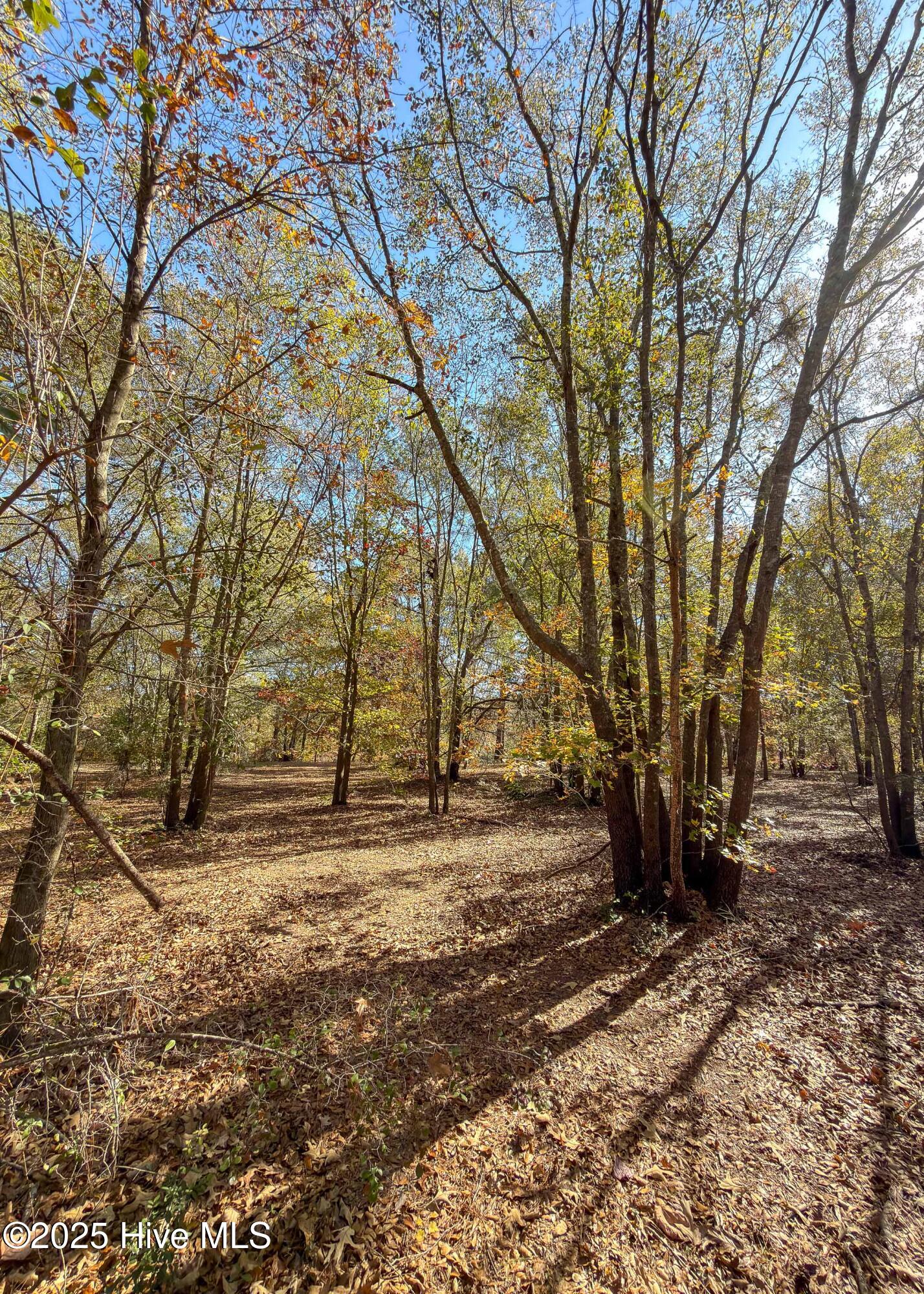167 River Ridge Drive Property Photo 33