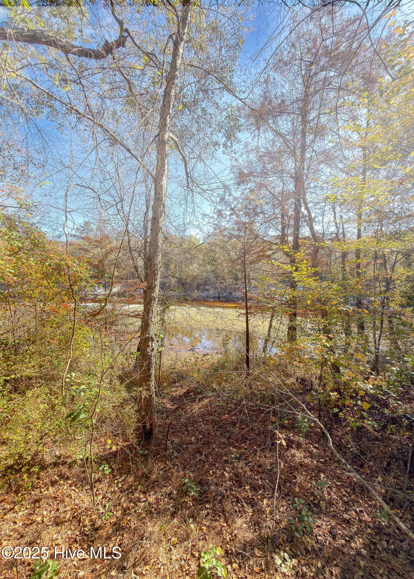 167 River Ridge Drive Property Photo 35
