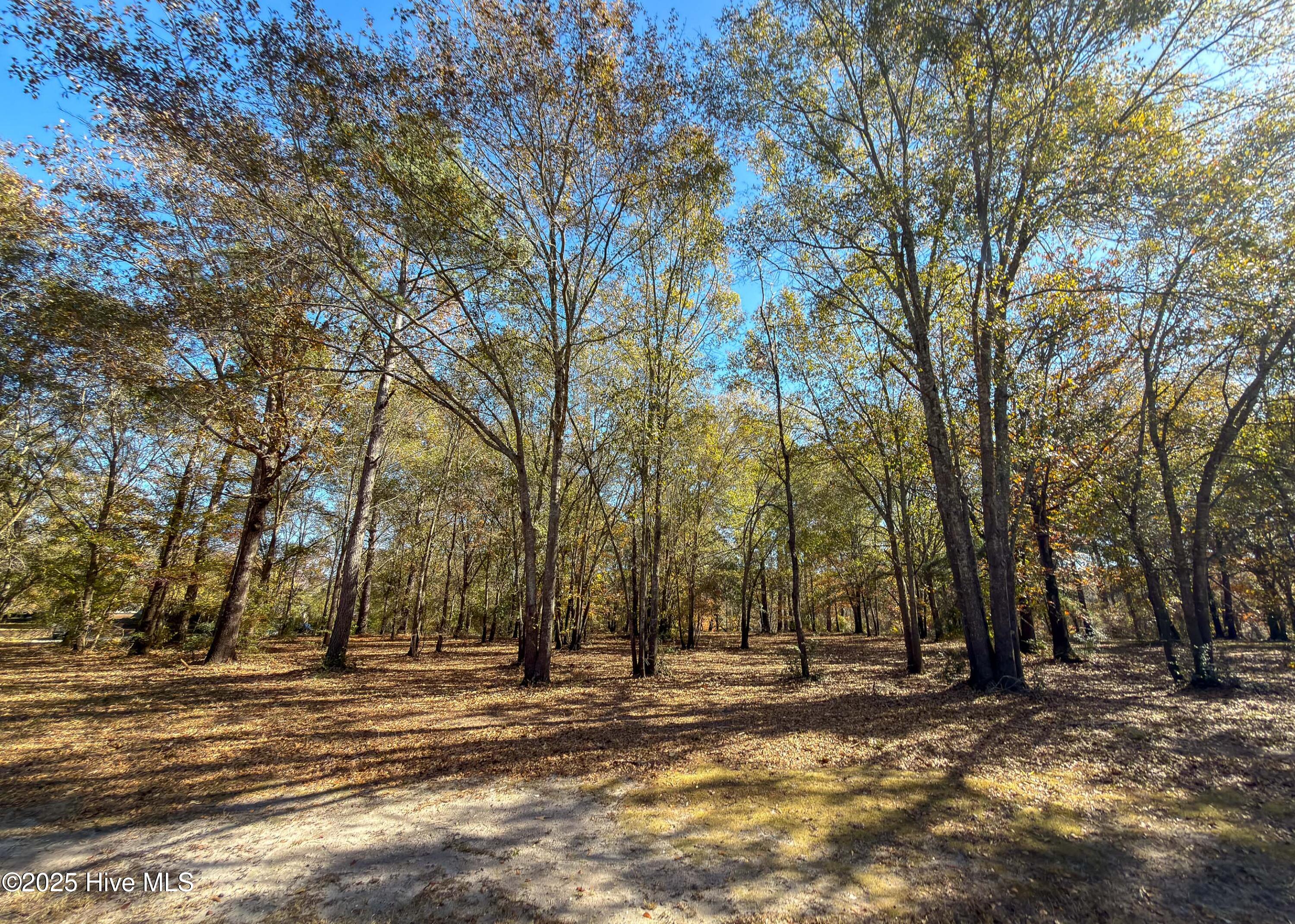 167 River Ridge Drive Property Photo 36