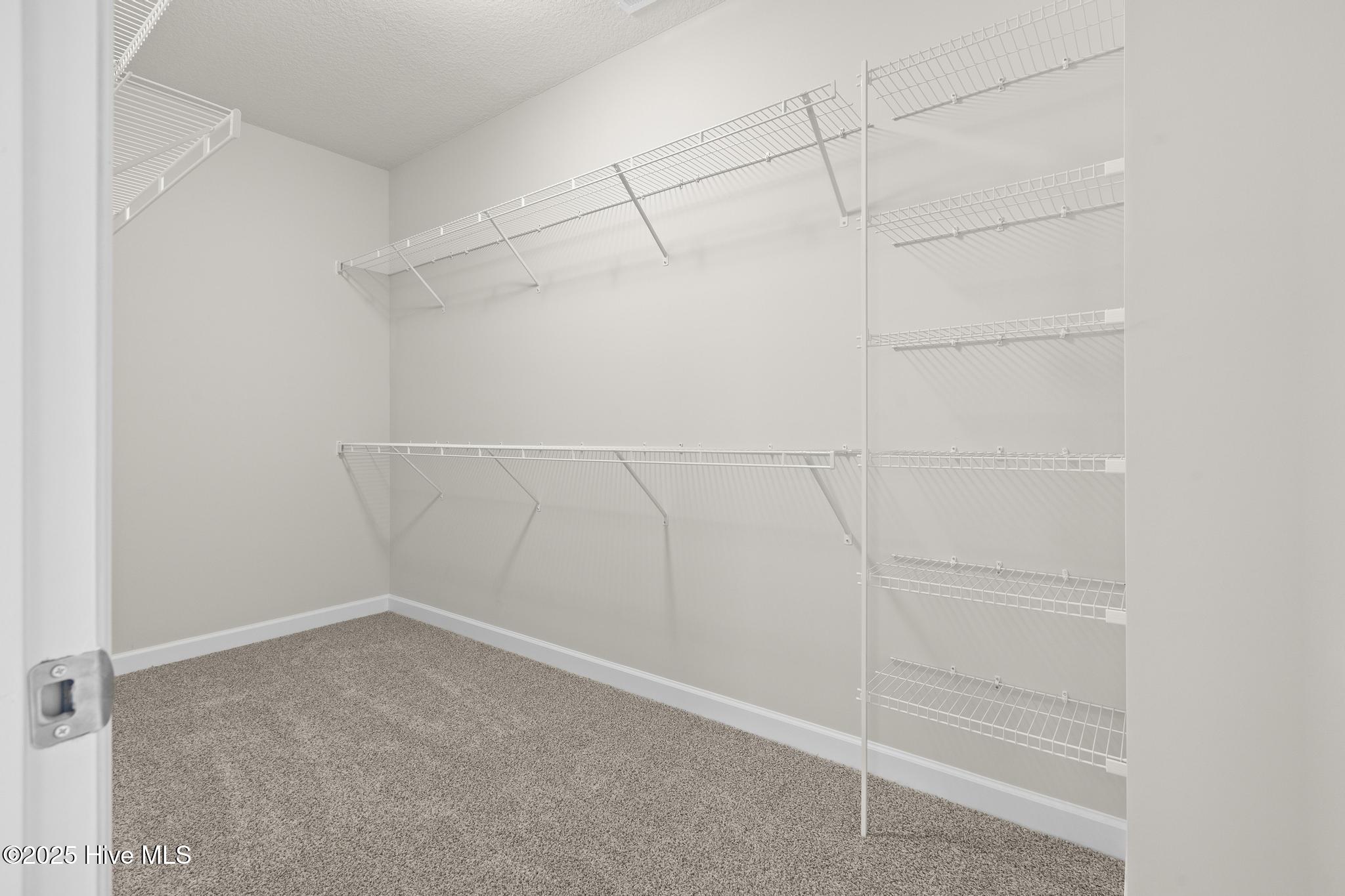 2033 Folkstone Woods Lane Property Photo 16