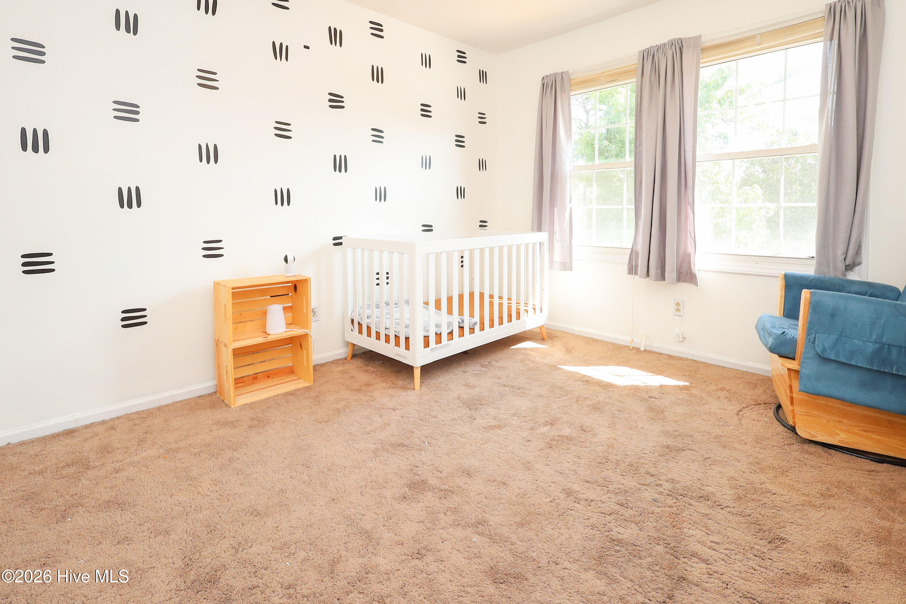 113 Ronny Court Property Photo 38