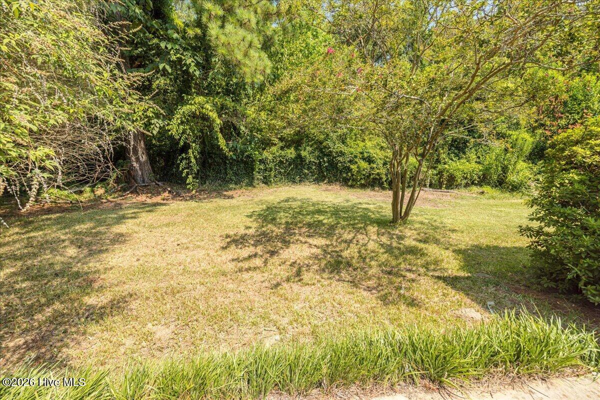 3141 Ramsgate Road Property Photo 44