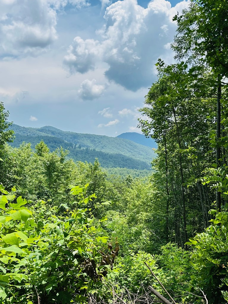 Lot 13 13 View Ridge Trail Property Photo 2