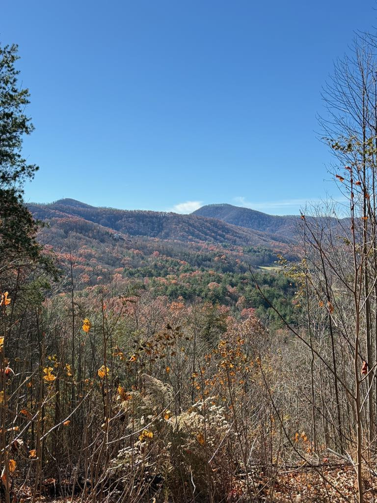 Lot 13 13 View Ridge Trail Property Photo 3